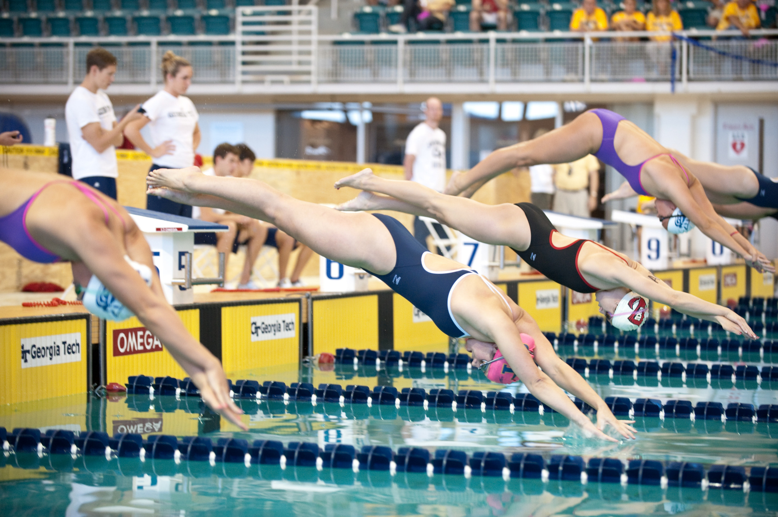 Women's 2010-2011 Swimming and Diving