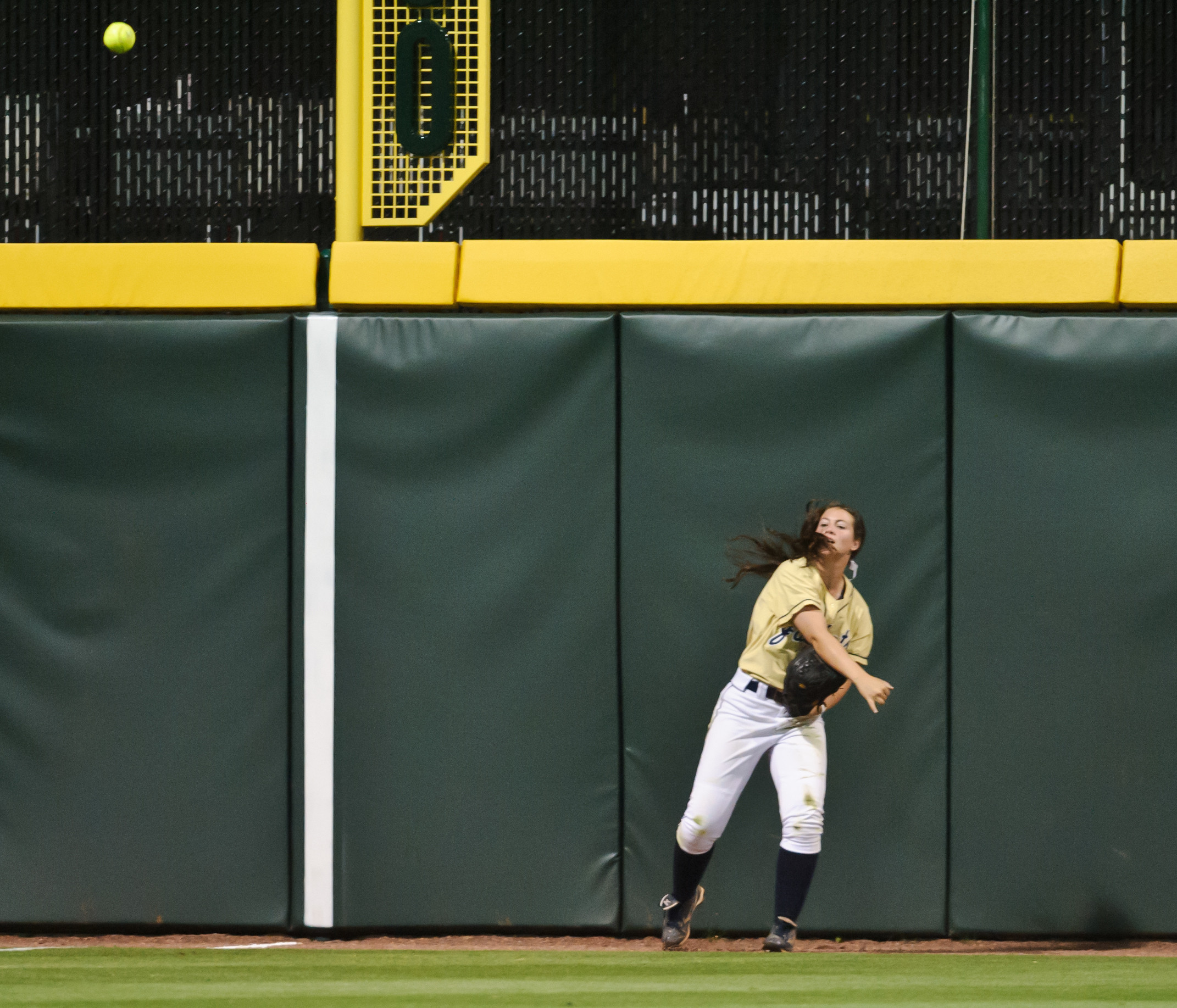 Shannon Bear