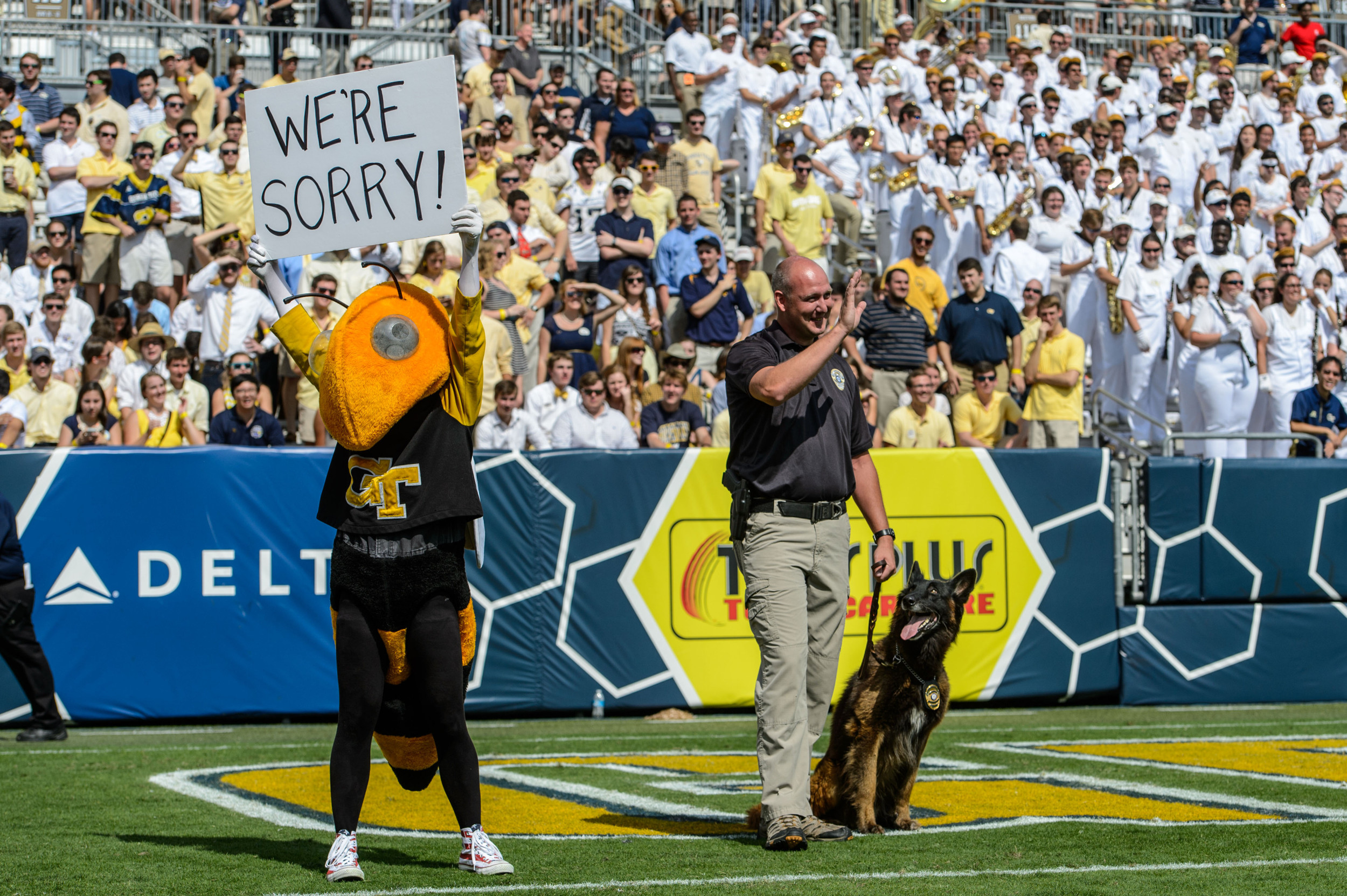 In September, Brookhaven Police Officer John Ritch and his K 9 Grizz suffered injuries and were hospitalized following pursuing a suspect on foot. Ritch and Grizz were stung by hundreds of Yellow Jackets after disturbing a nest during the chase. On behalf of Yellow Jackets everywhere, Buzz would like to apologize to Ritch and Grizz.