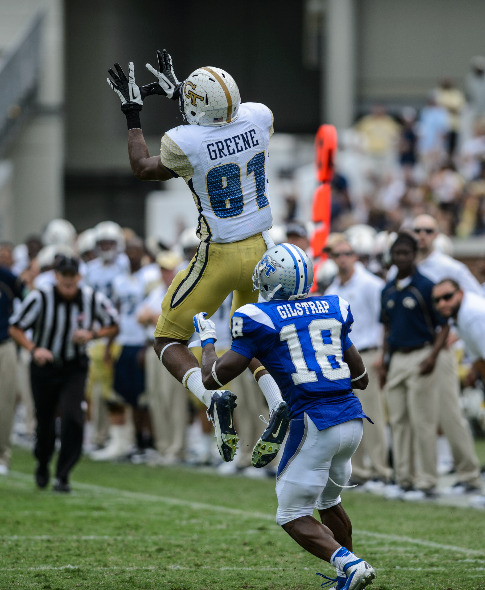 Jeff Greene (81)