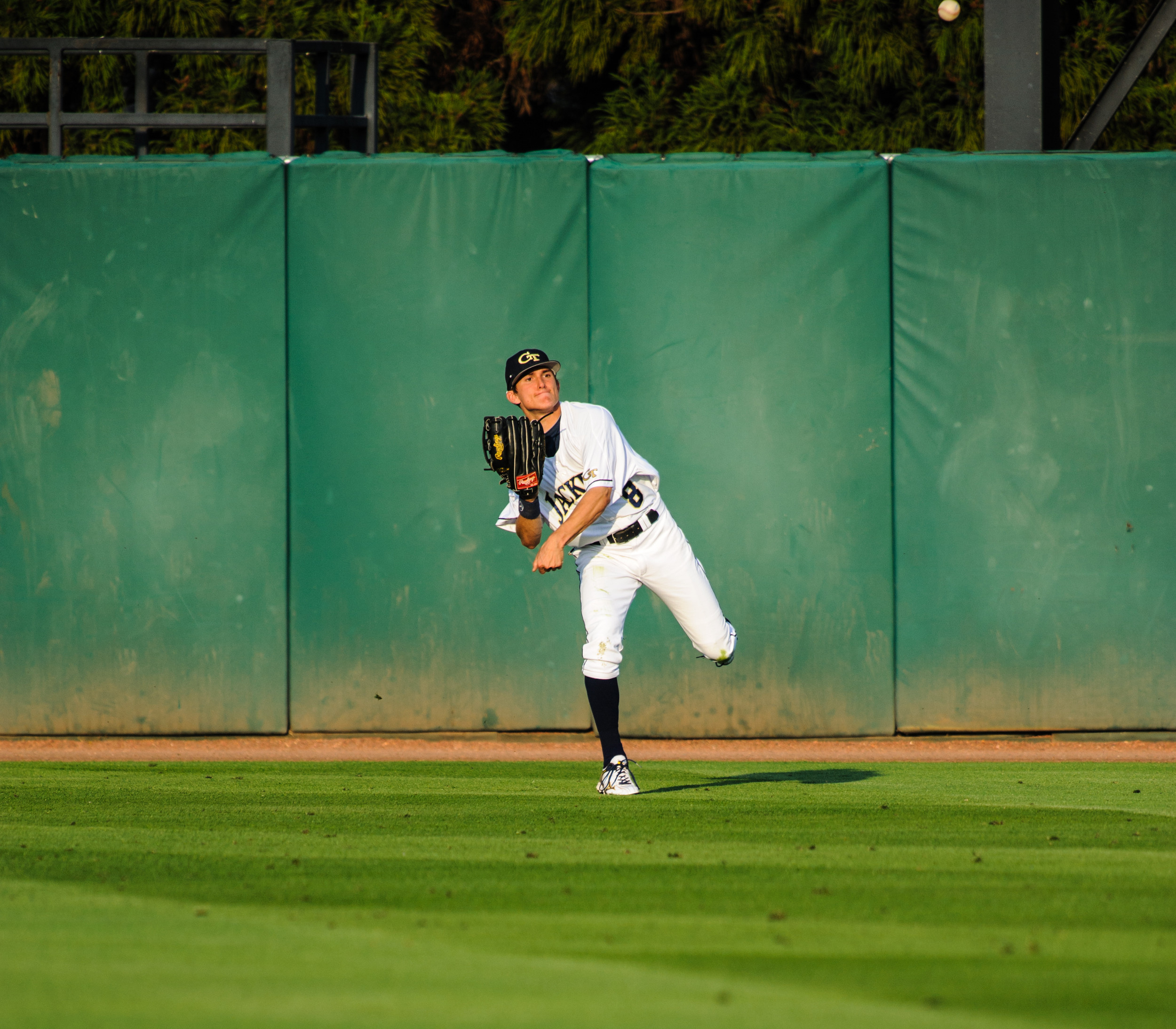 Kyle Wren (8)