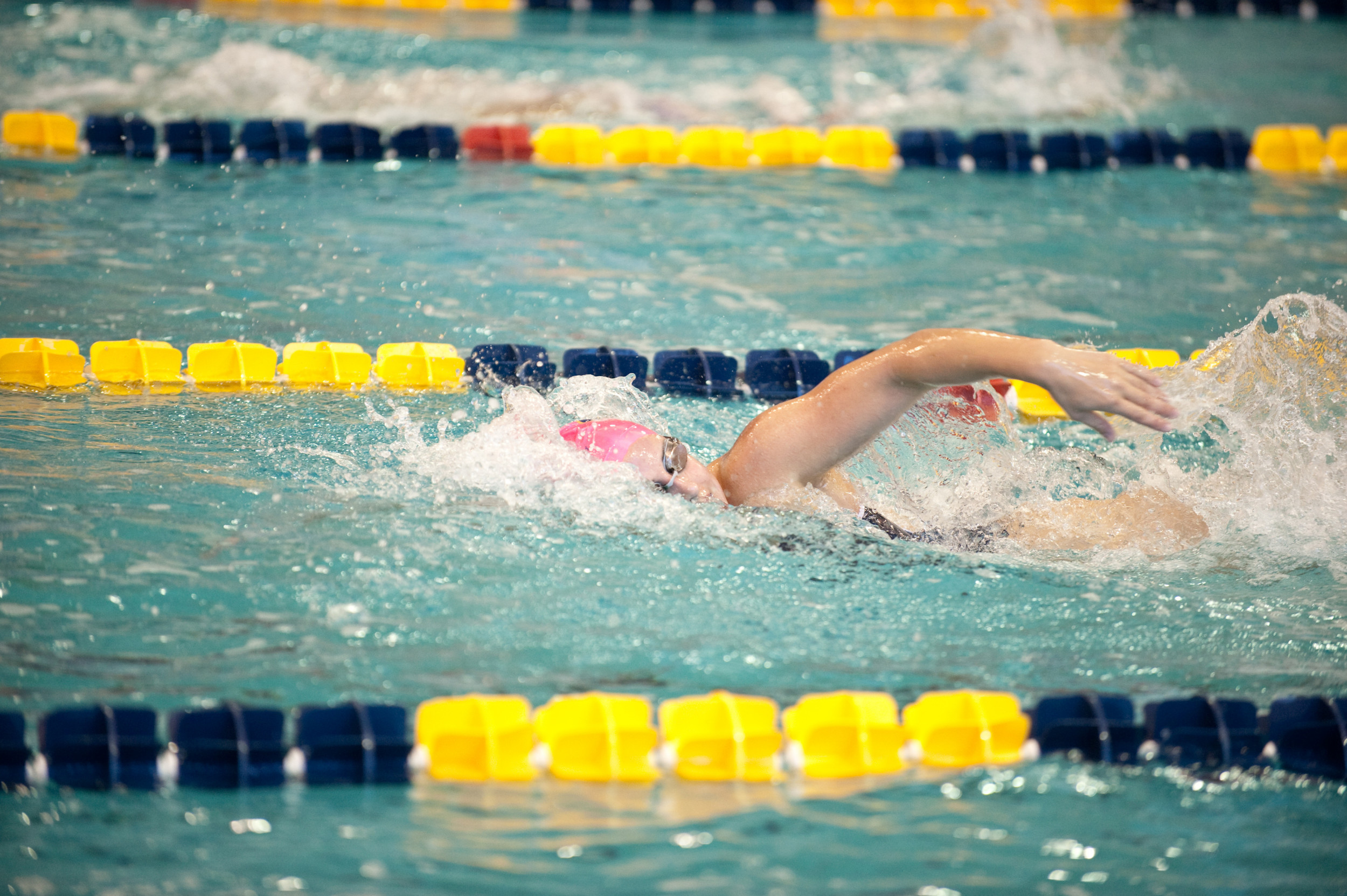 Women's 2010-2011 Swimming and Diving