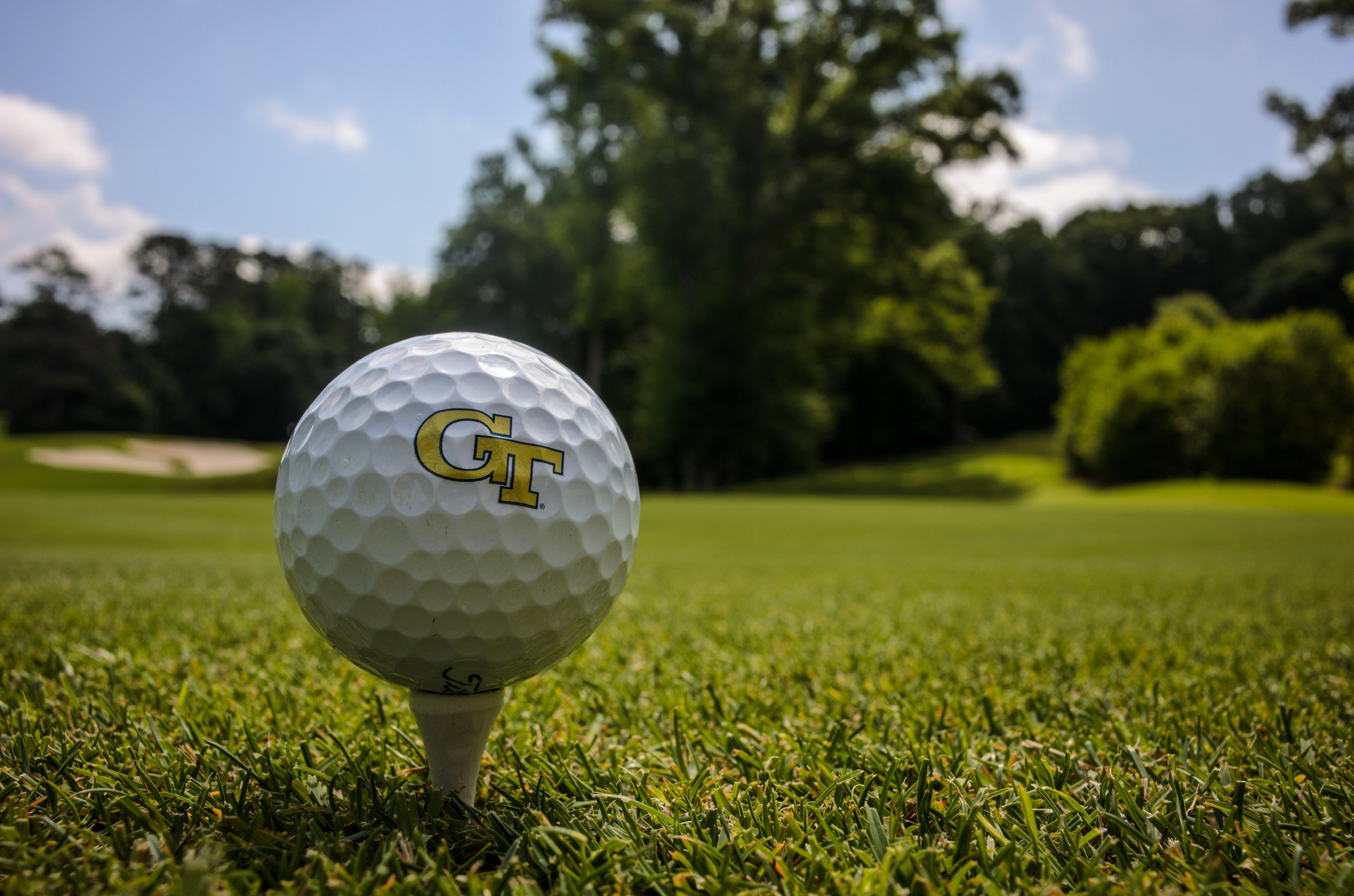 GT Golf at Capital City Club Crabapple Course