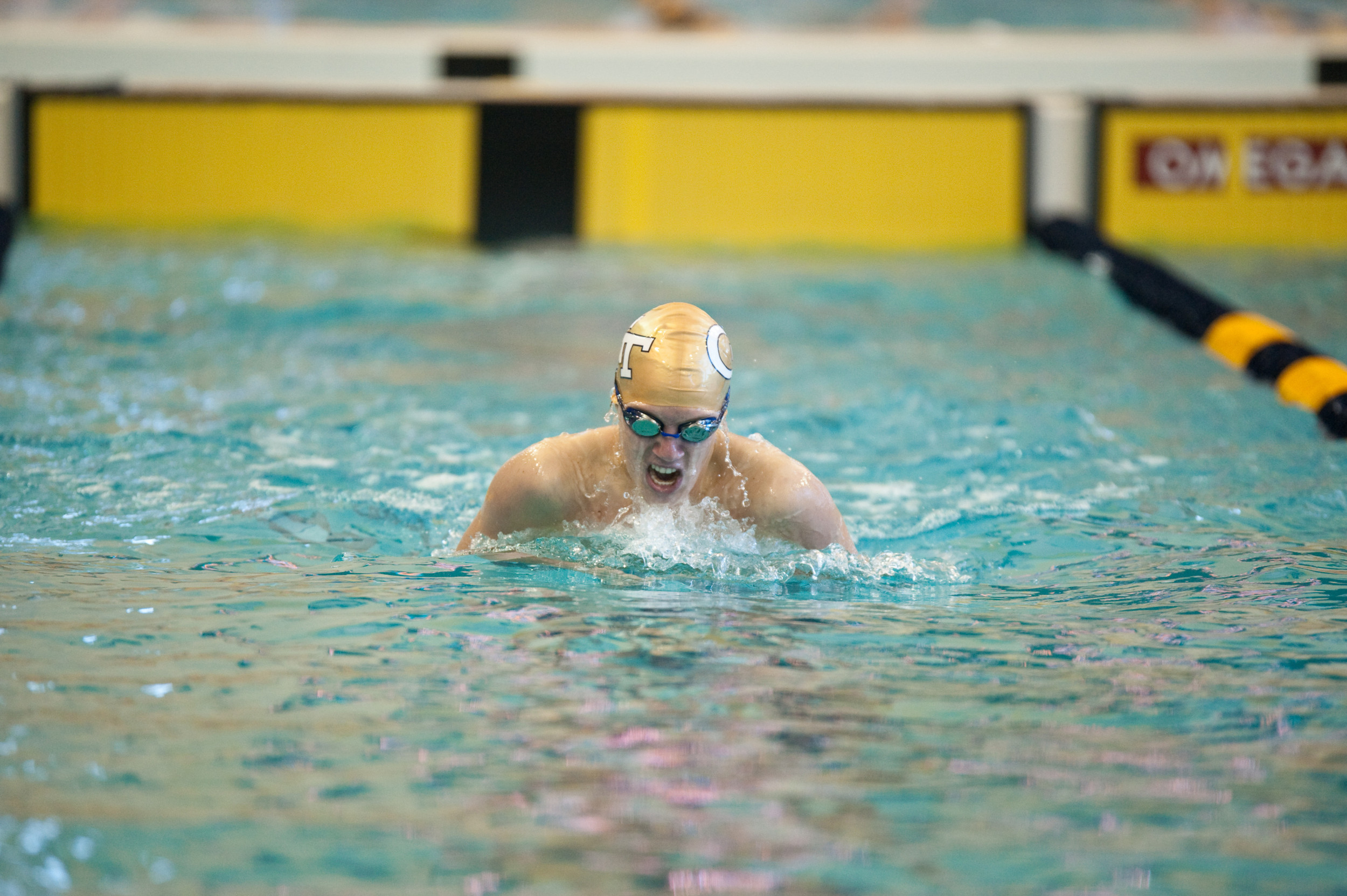 2010-11 Andreas Nilsson Men's Swimming and Diving