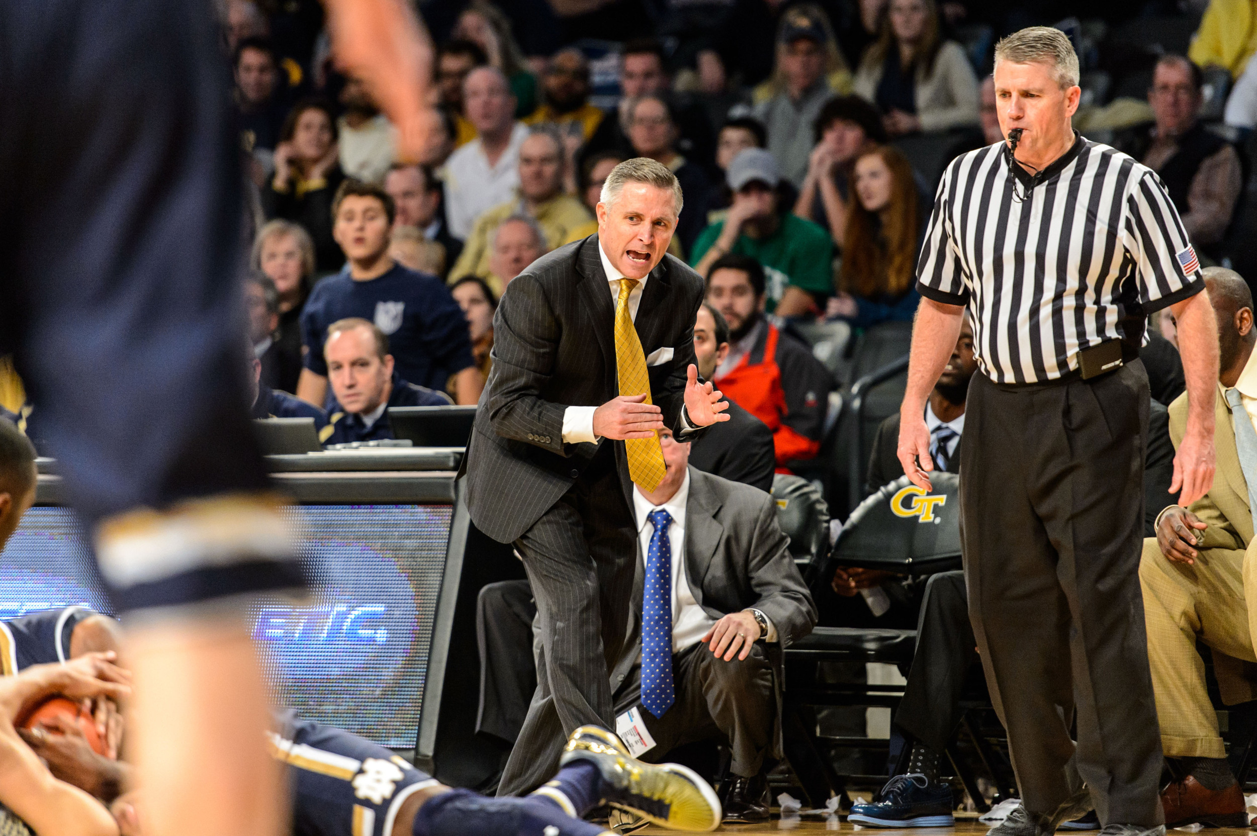Coach Brian Gregory