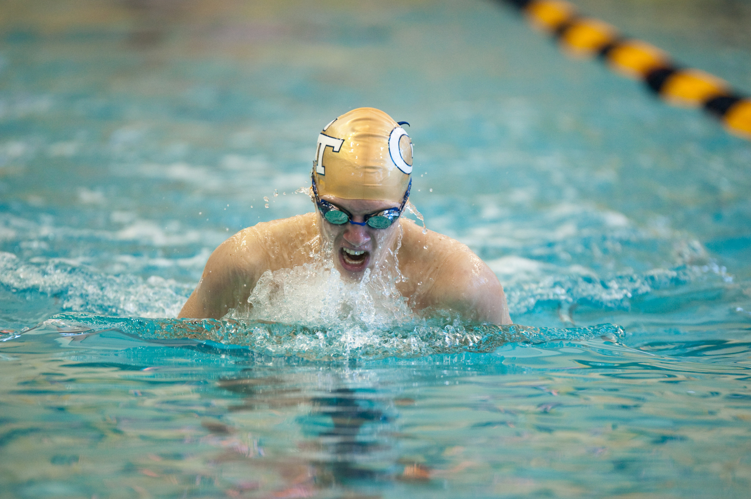 2010-11 Andreas Nilsson Men's Swimming and Diving