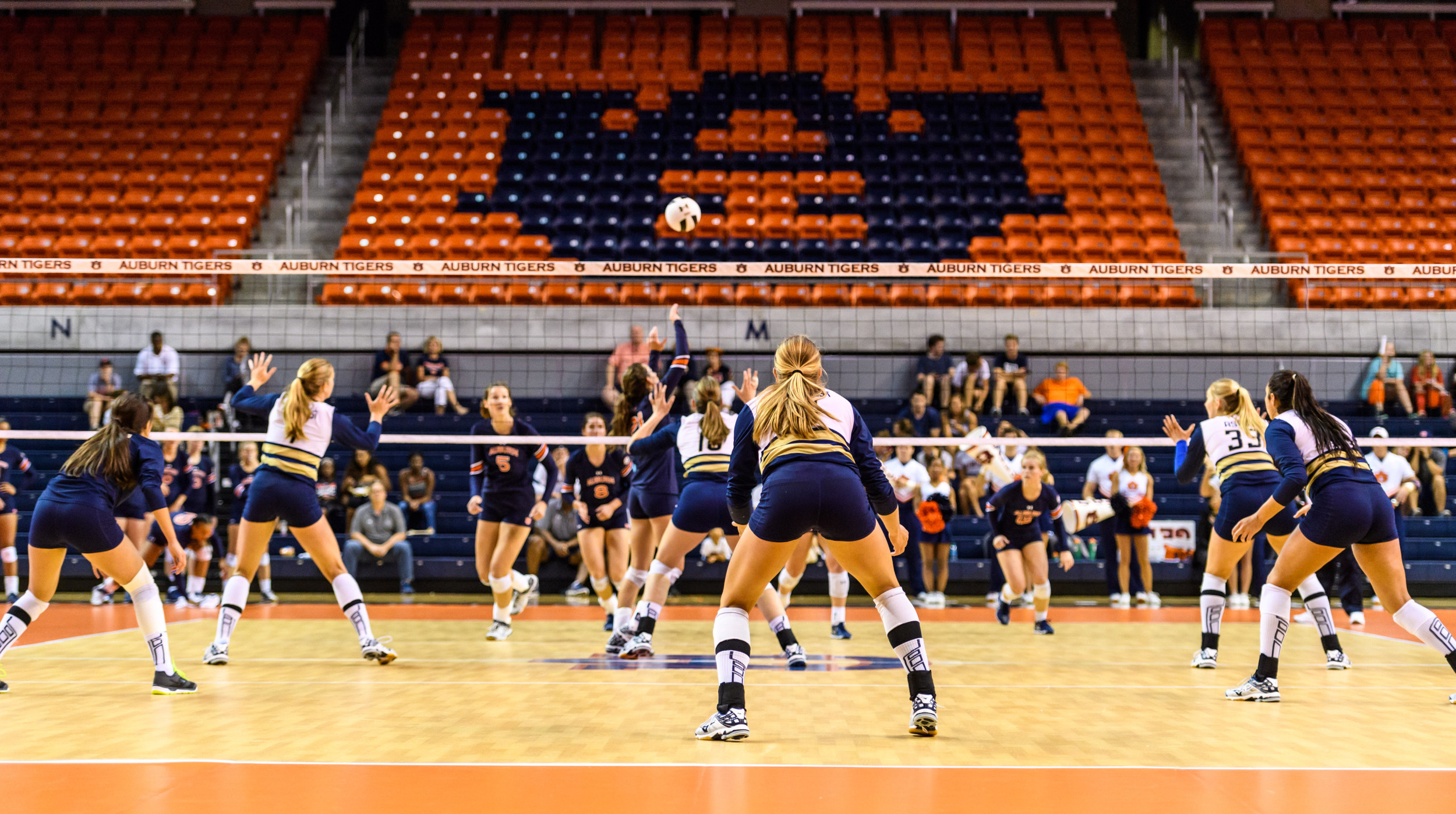 The Jackets opened the season in Auburn Arena
