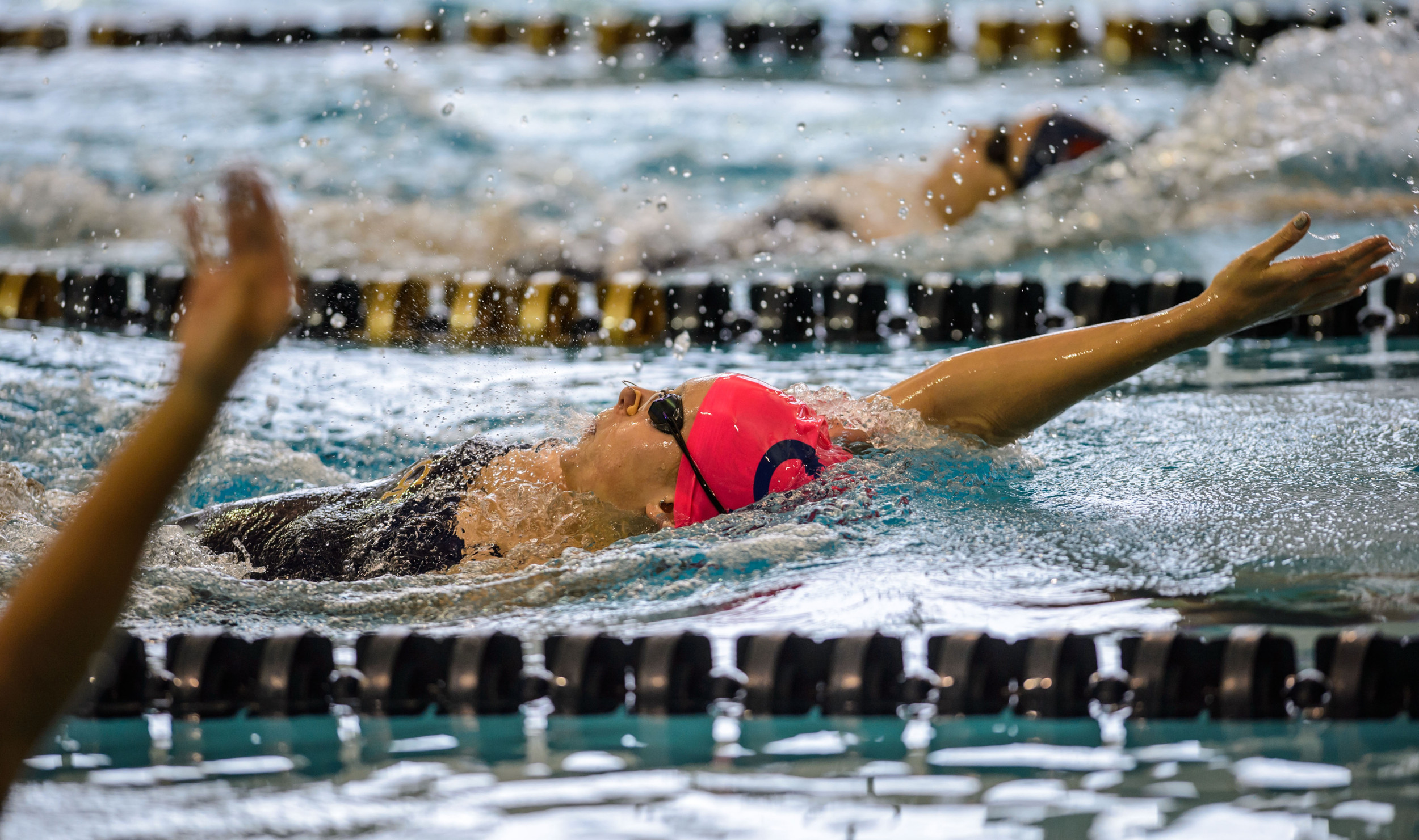 Georgia Tech Swimming and Diving