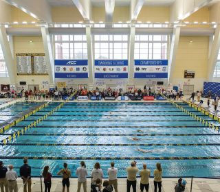 Swim & Dive