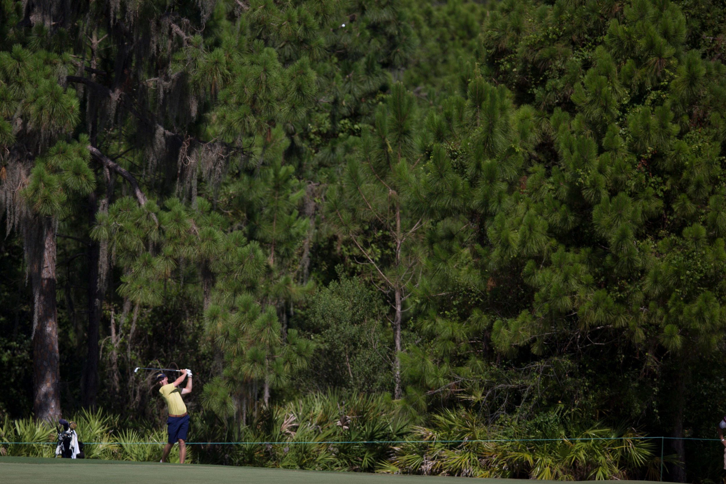 Vincent Whaley during the second round of the NCAA Championship, May 30, 2015, Bradendon, Fla.