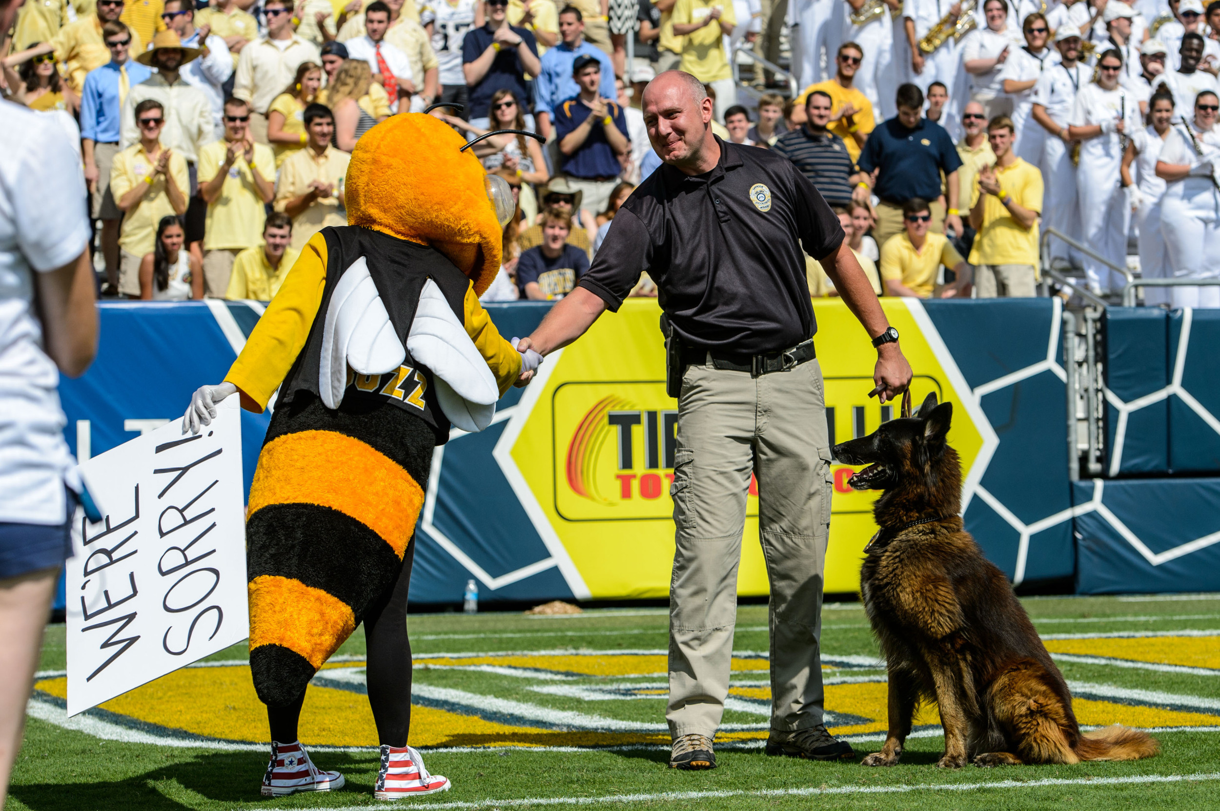 In September, Brookhaven Police Officer John Ritch and his K 9 Grizz suffered injuries and were hospitalized following pursuing a suspect on foot. Ritch and Grizz were stung by hundreds of Yellow Jackets after disturbing a nest during the chase. On behalf of Yellow Jackets everywhere, Buzz would like to apologize to Ritch and Grizz.