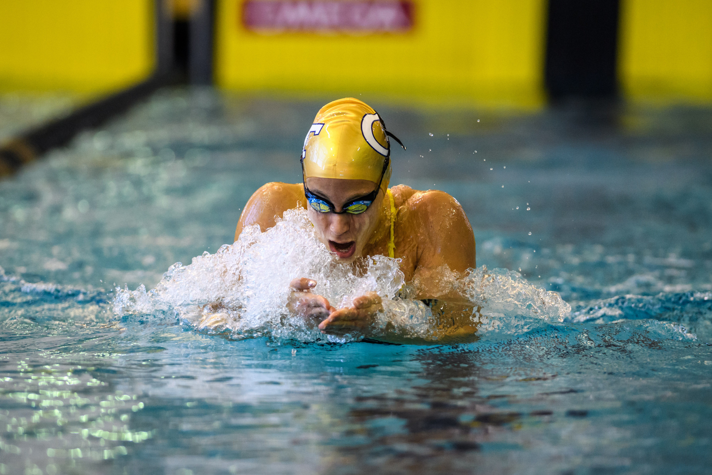 Senior Day Meet against FSU and SCAD