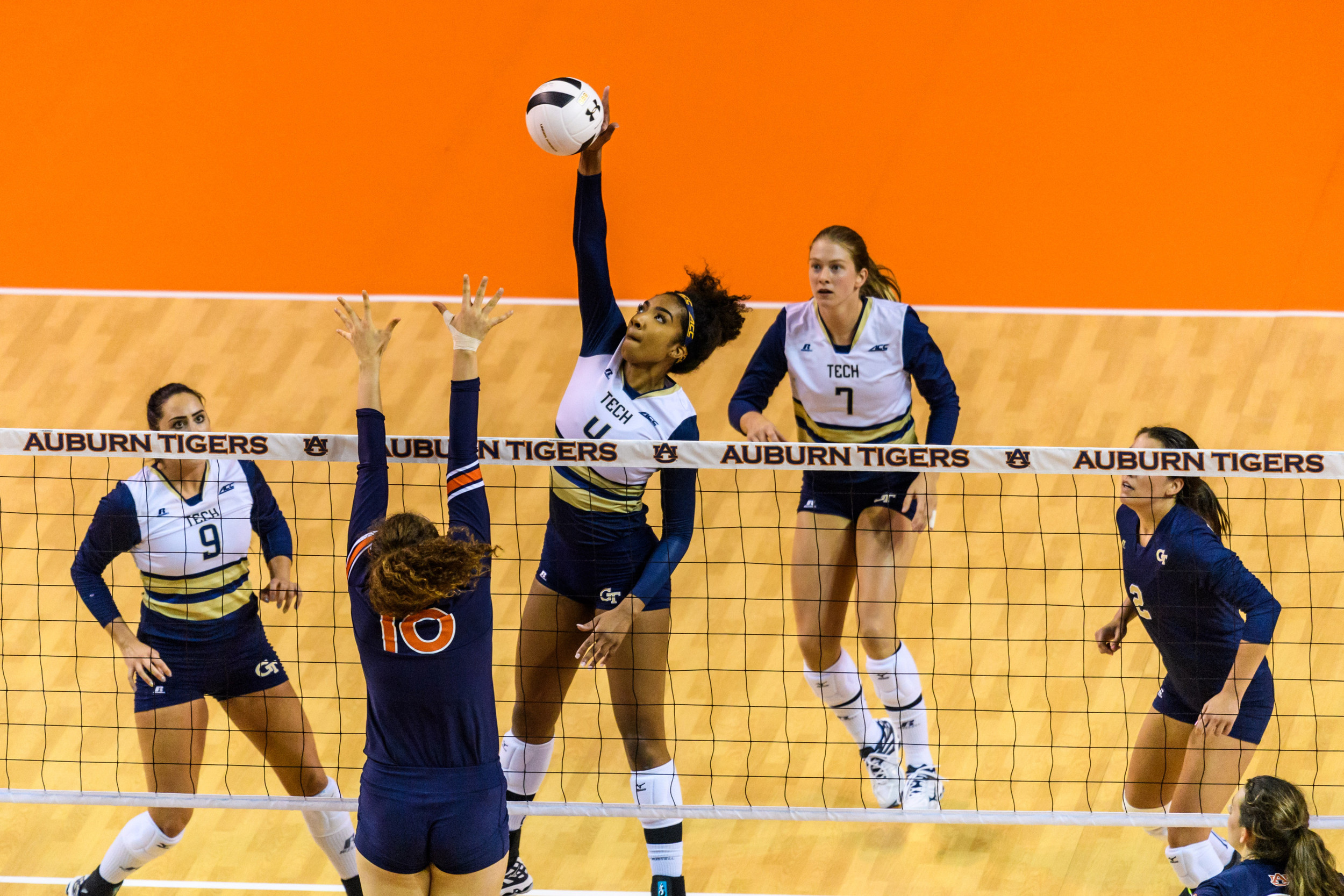 Sydney Wilson (4)