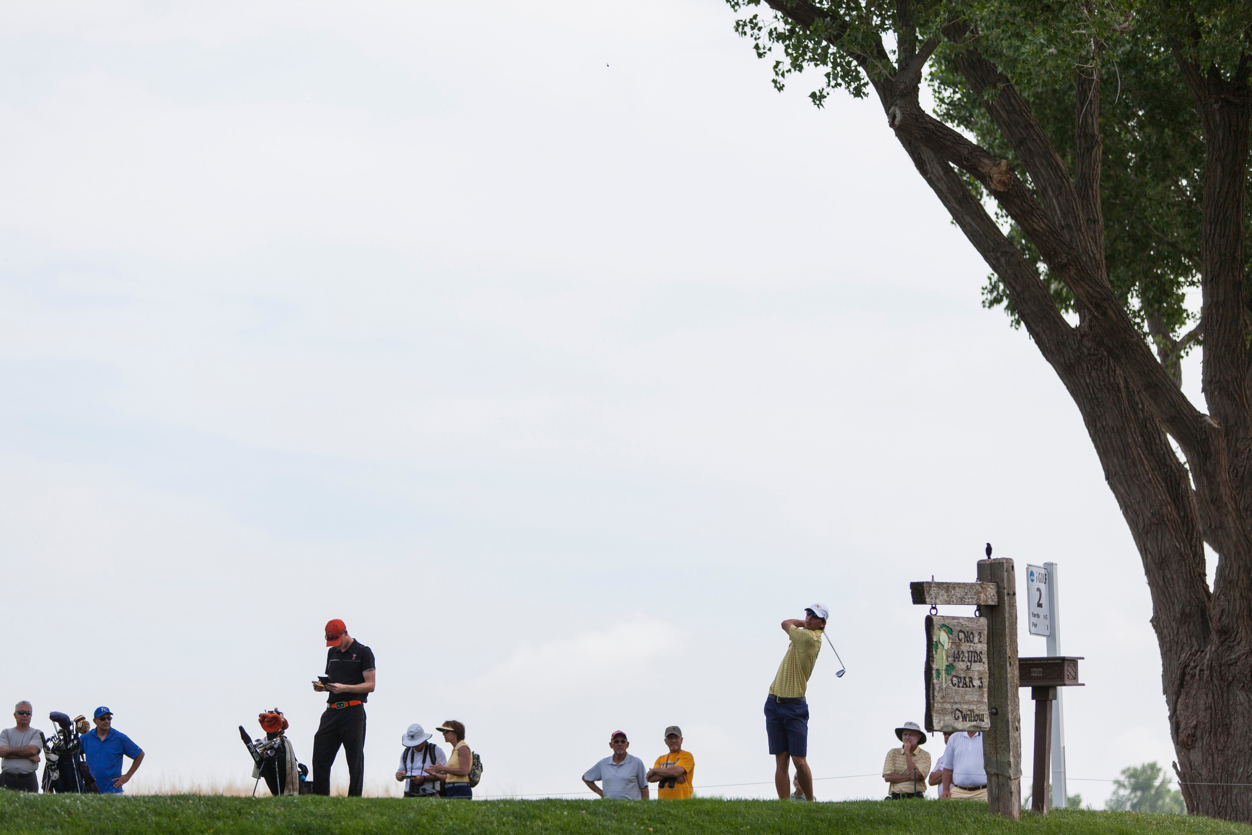 Seth Reeves at the 2014 NCAA Golf Championship, May 23-28, Prairie Dunes Country Club, Hutchinson, Kan.