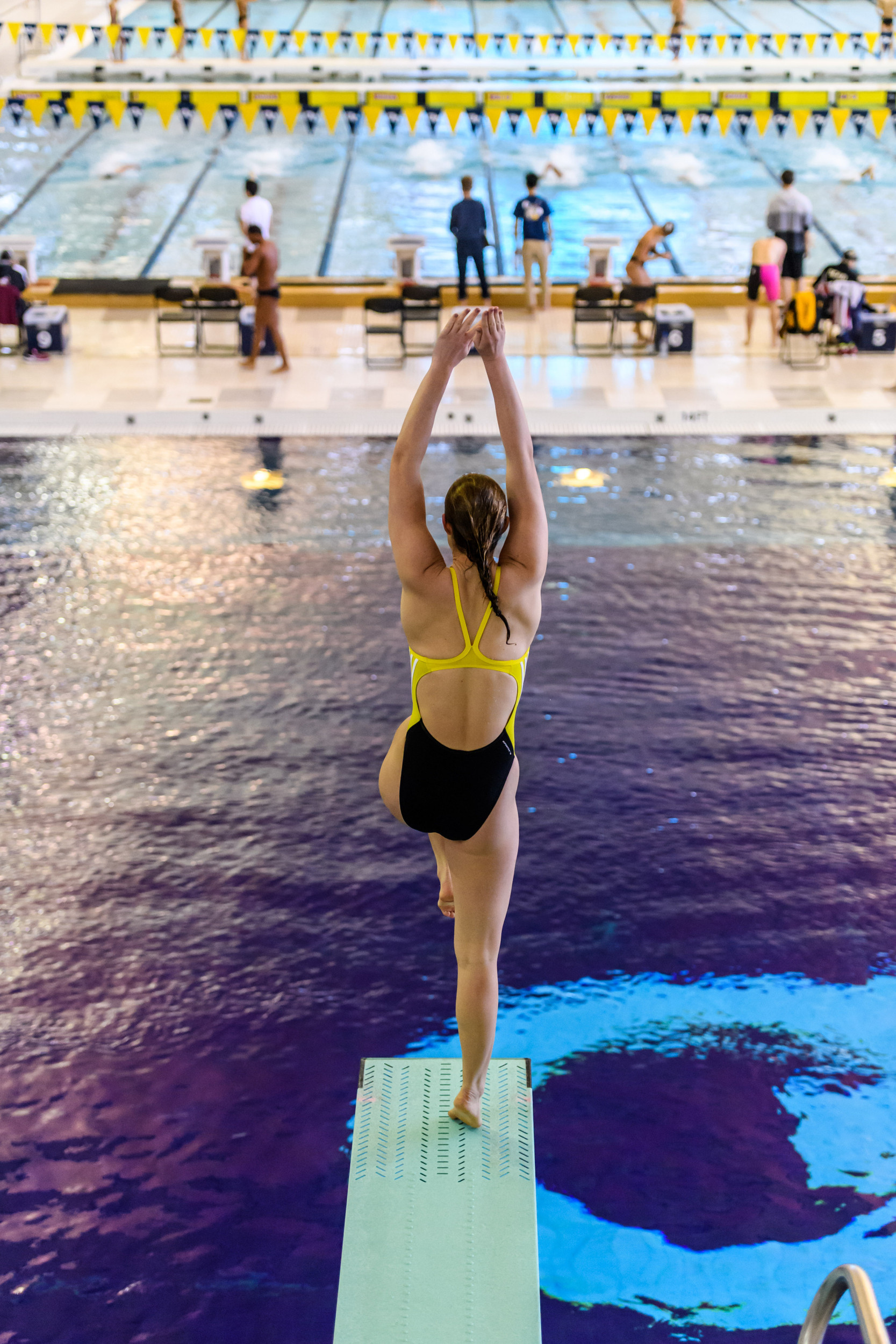 Senior Day Meet against FSU and SCAD