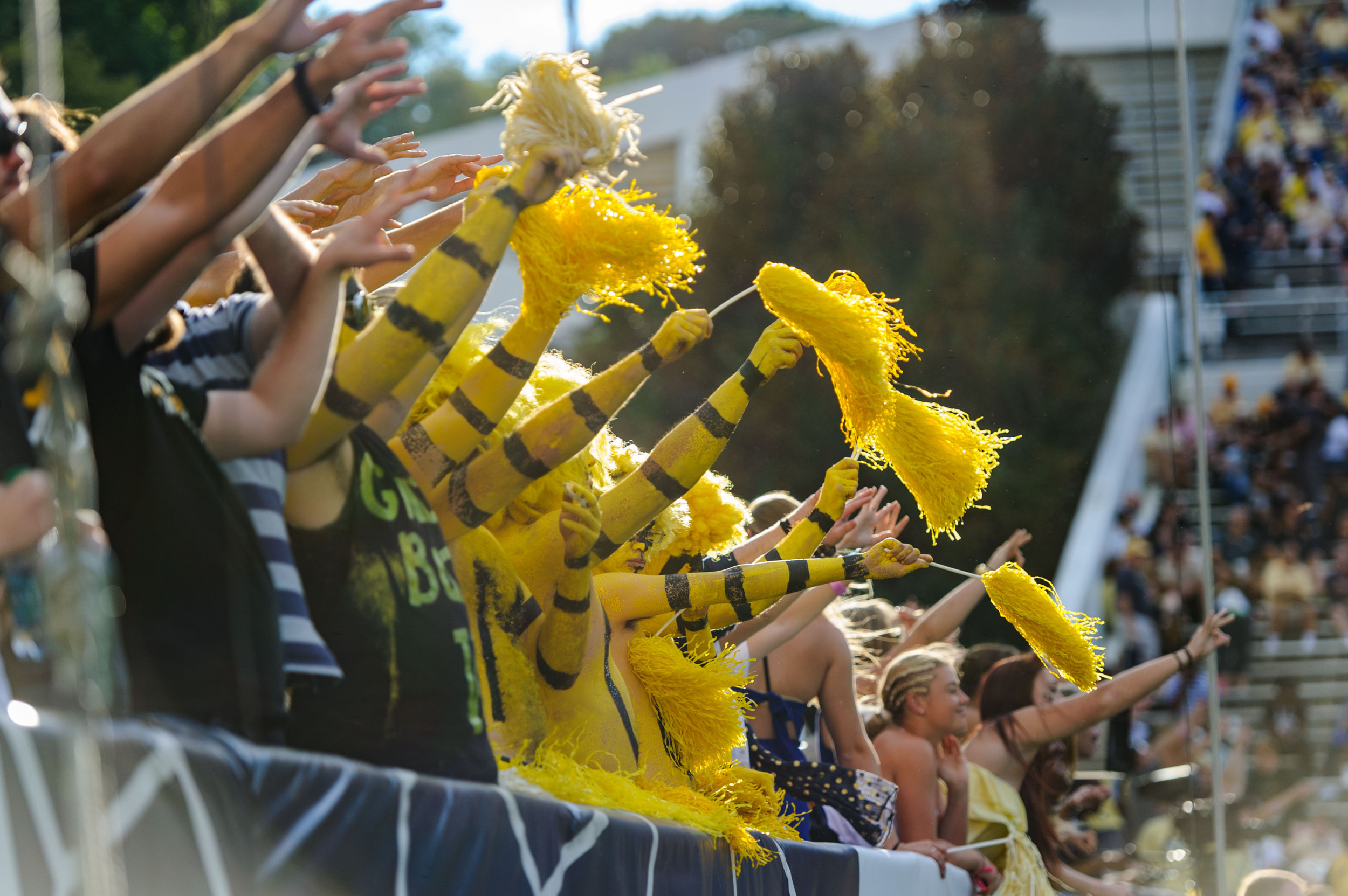 The Goldfellas cheer on the team