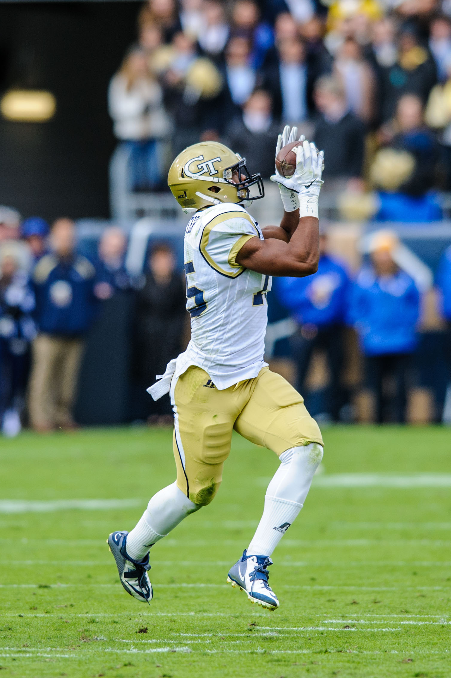 DeAndre Smelter (15)