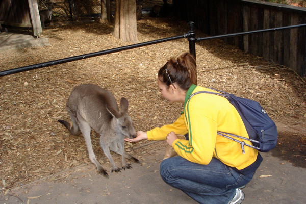 Whitney Haller in Australia (July 14)