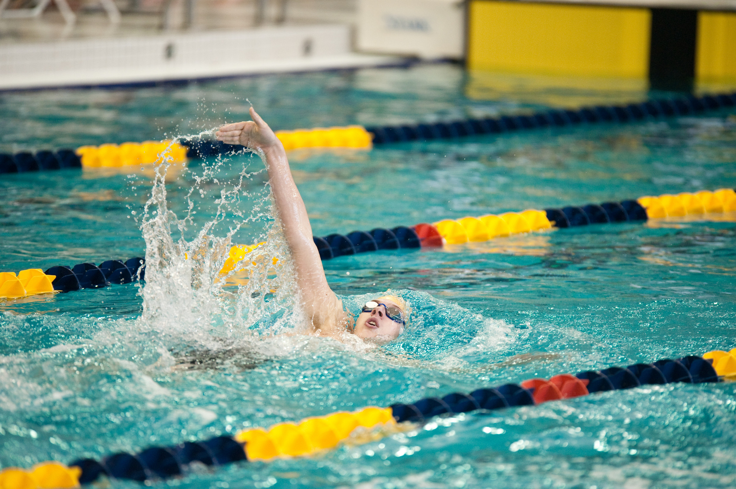 2010-11 Andreas Nilsson Men's Swimming and Diving