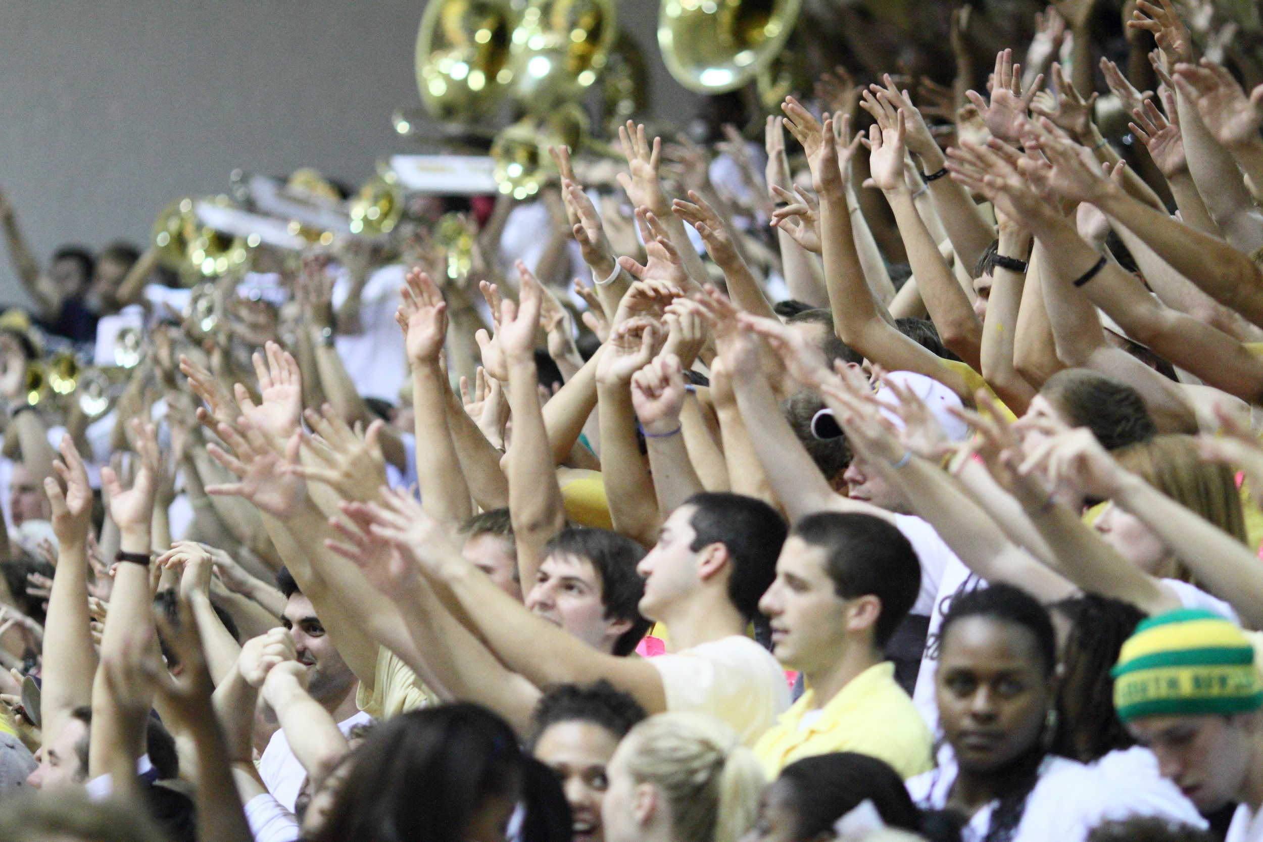 Yellow Jacket Fans