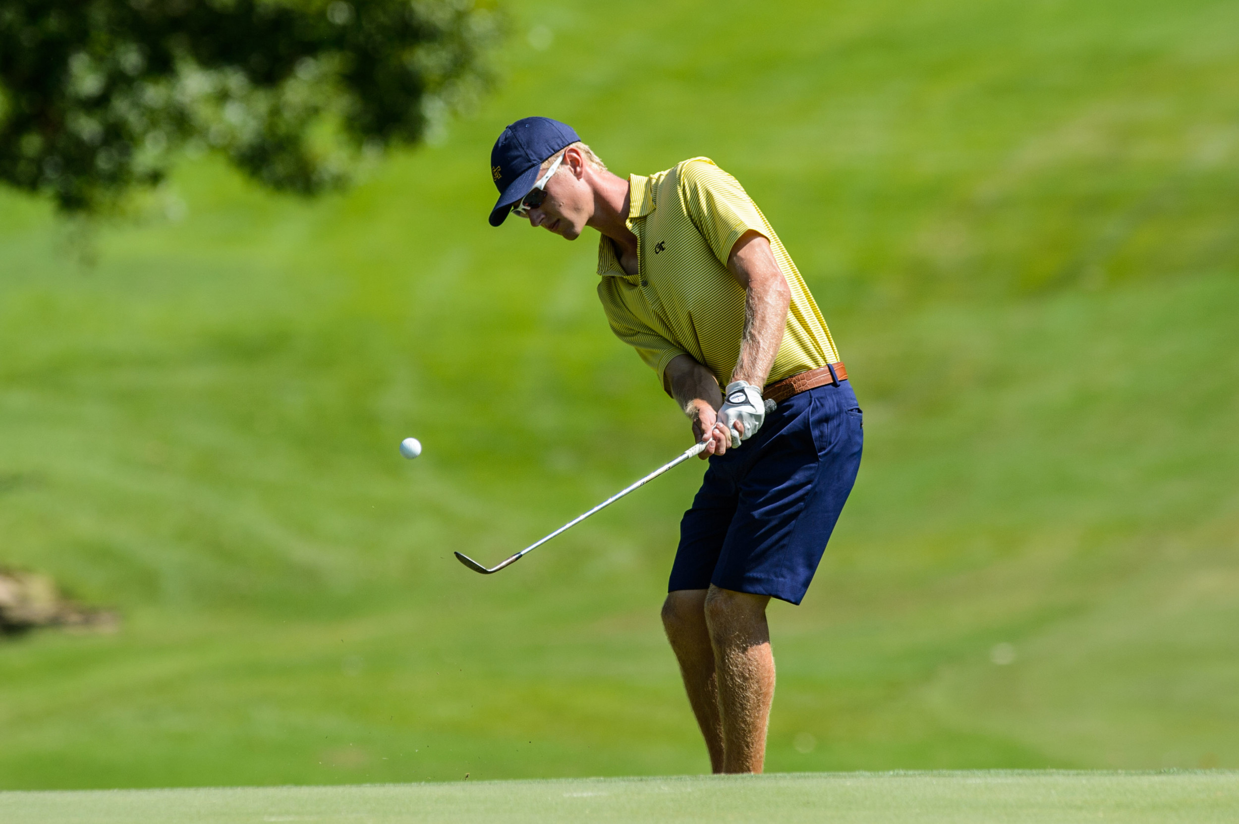 Drew Czuchry during the final round of the Carpet Capital Collegiate, September 7, 2014