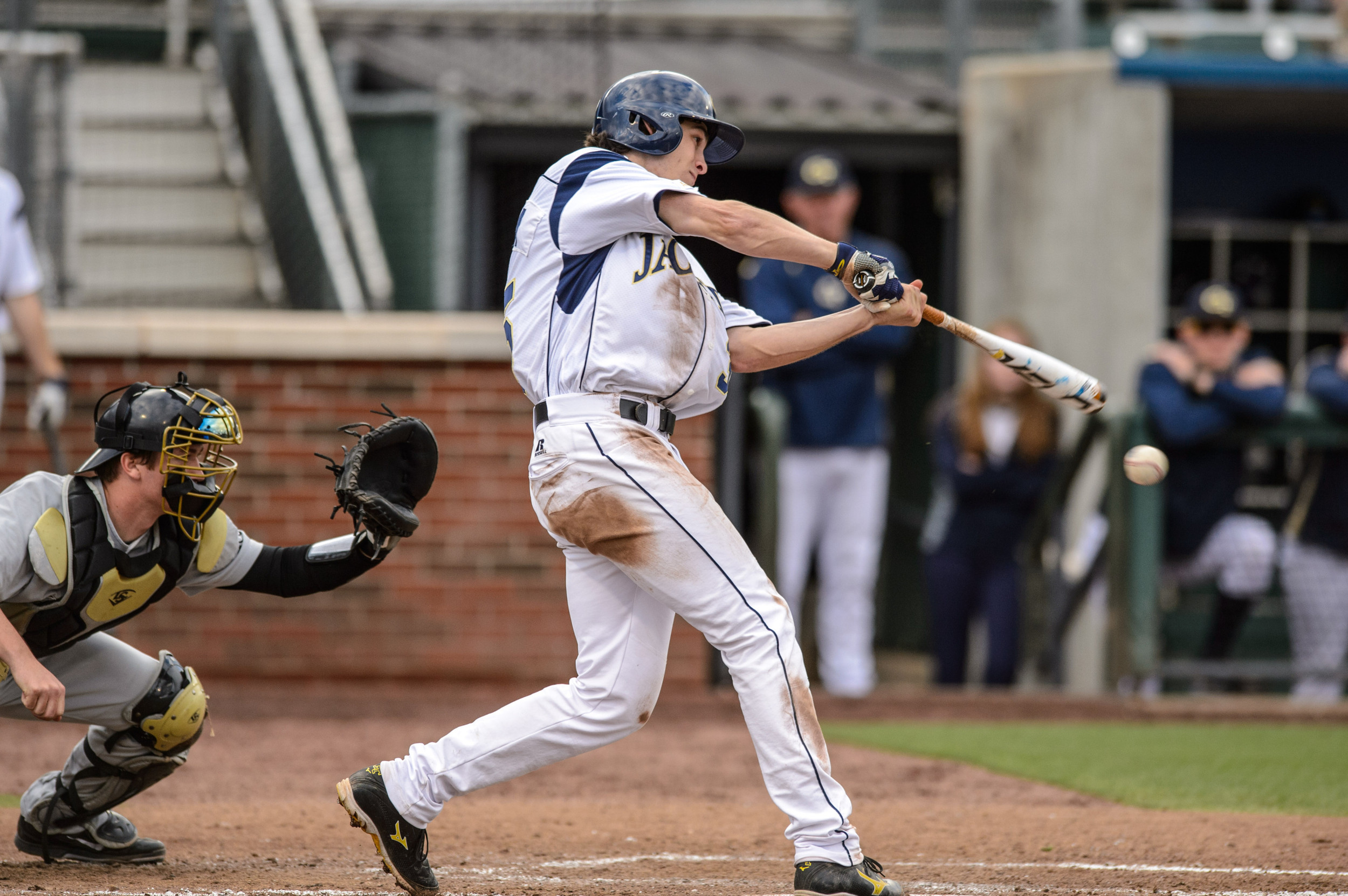 Daniel Spingola (35)