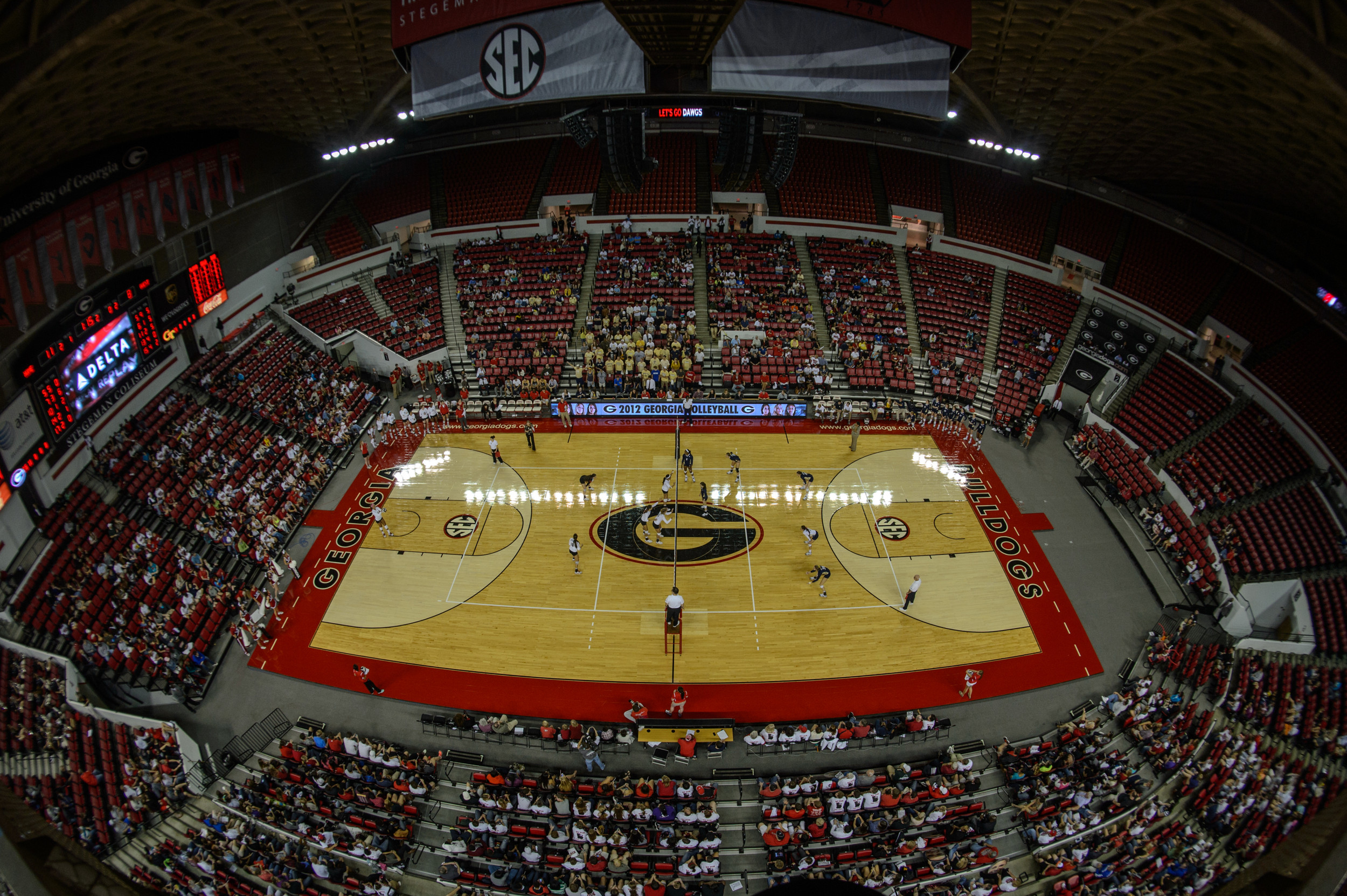 Stegeman Colliseum