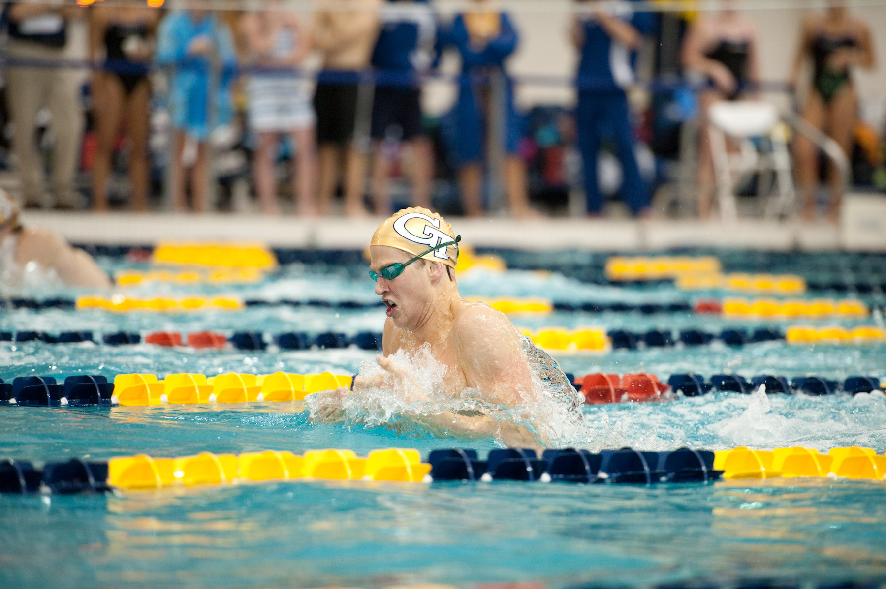 Swimming and Diving vs. Emory