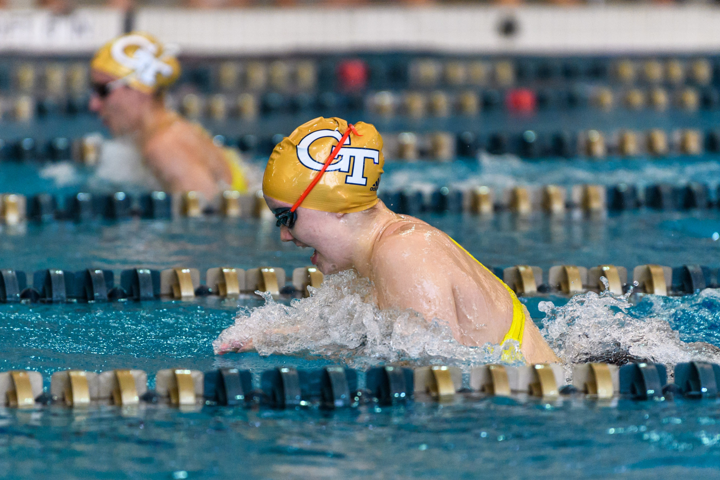 Swimming and Diving vs. Emory.