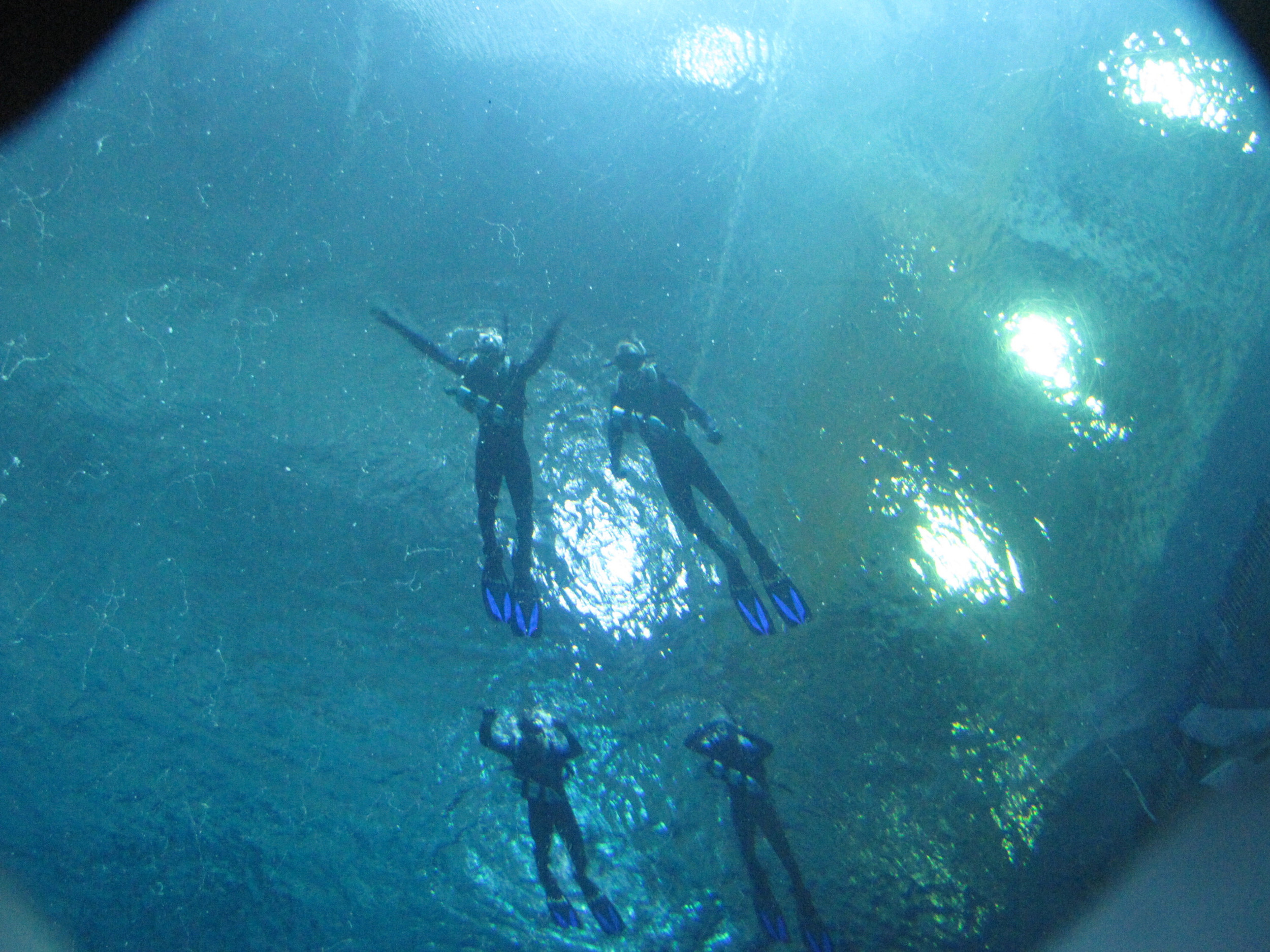 The Georgia Tech Men's Tennis team swims overhead