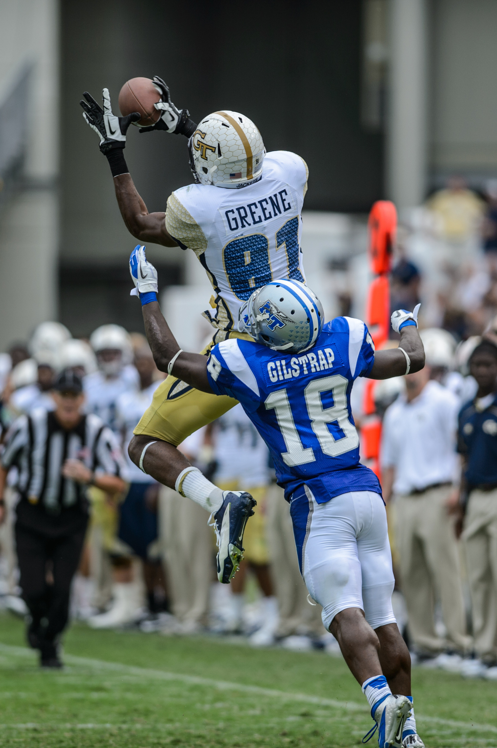 Jeff Greene (81)