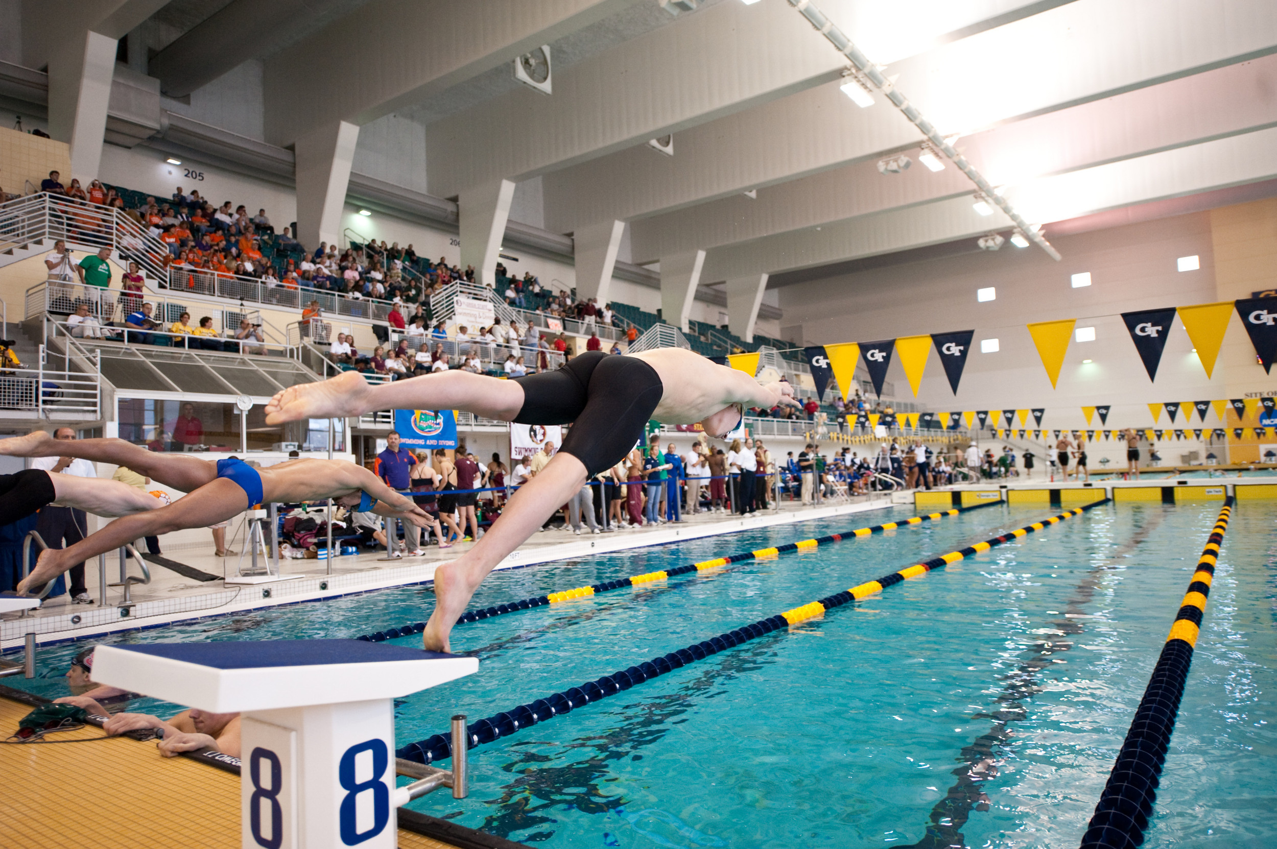 2010-11 Andreas Nilsson Men's Swimming and Diving