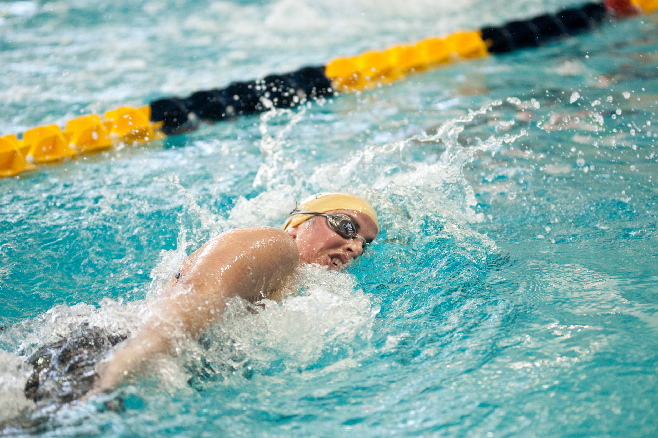 Women's 2010-2011 Swimming and Diving