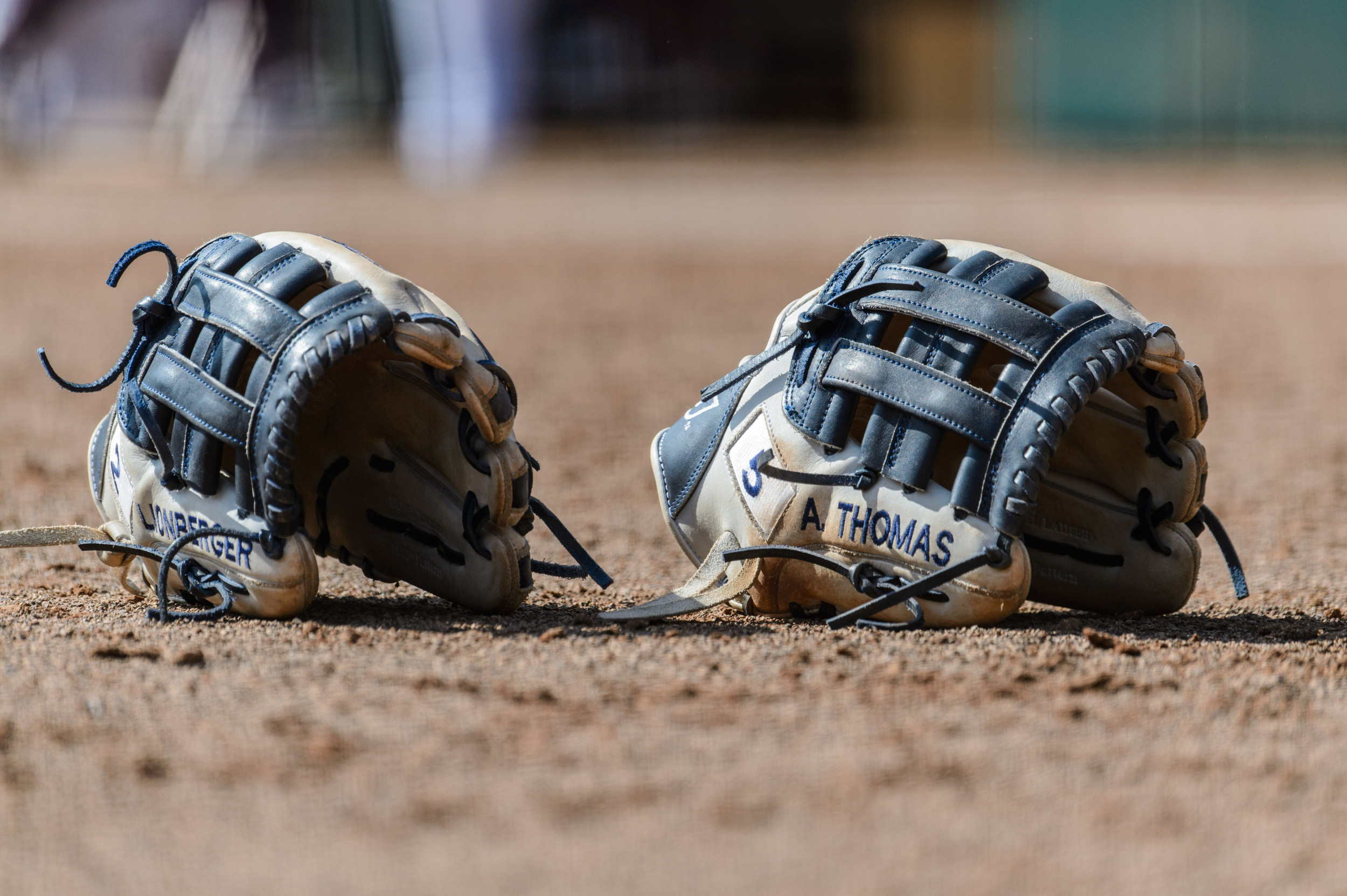Gloves lay on the field