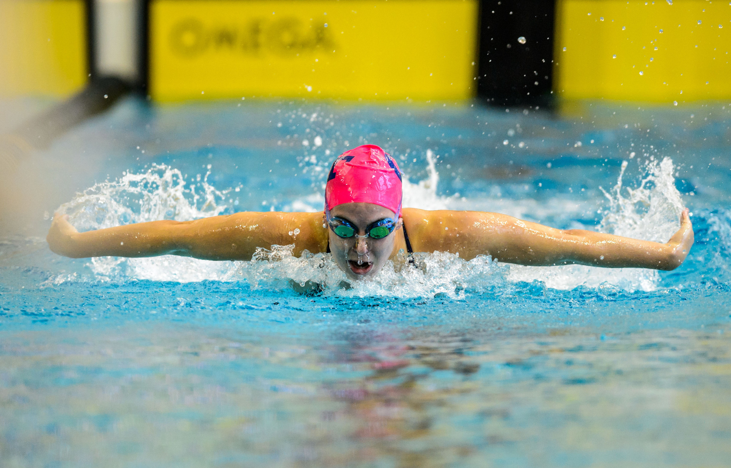 Georgia Tech Swimming and Diving