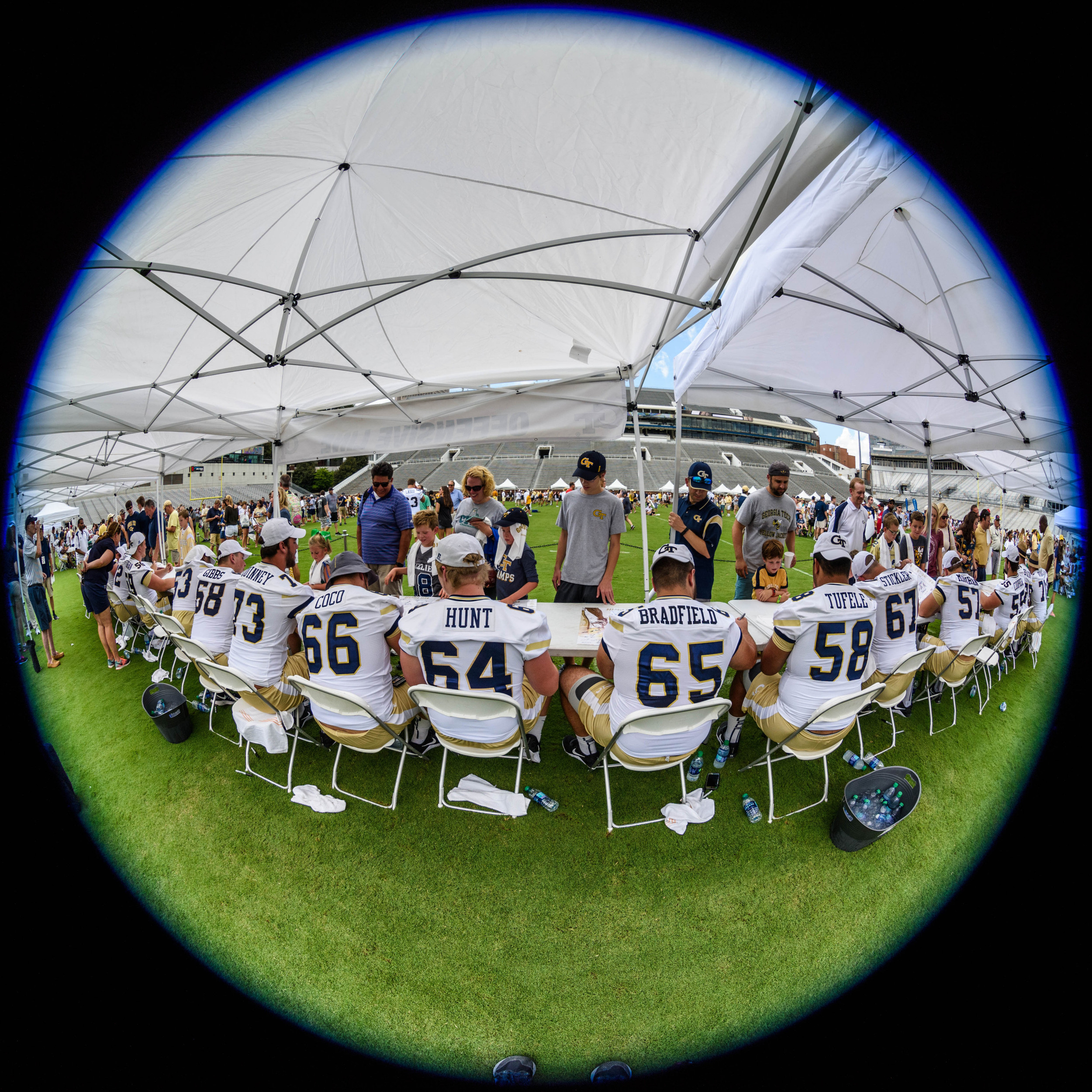 The Offensive Line
