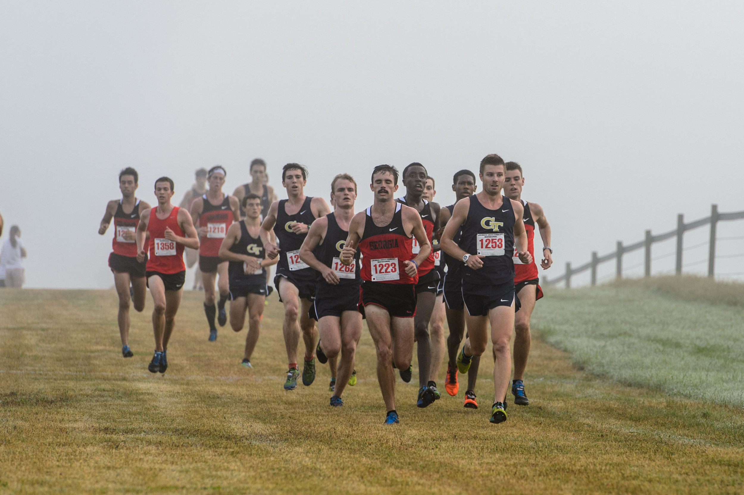 The Men's Cross Country team runs at the UGA Invitational