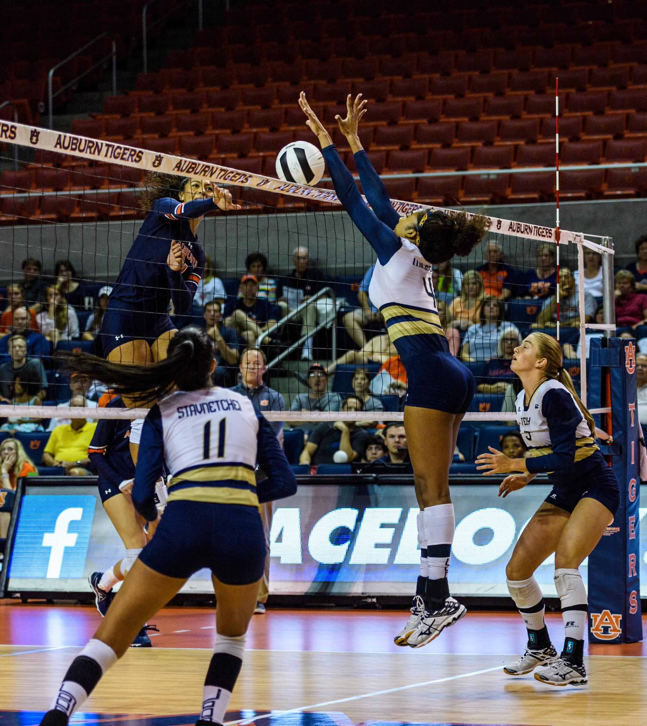 Sydney Wilson (4)