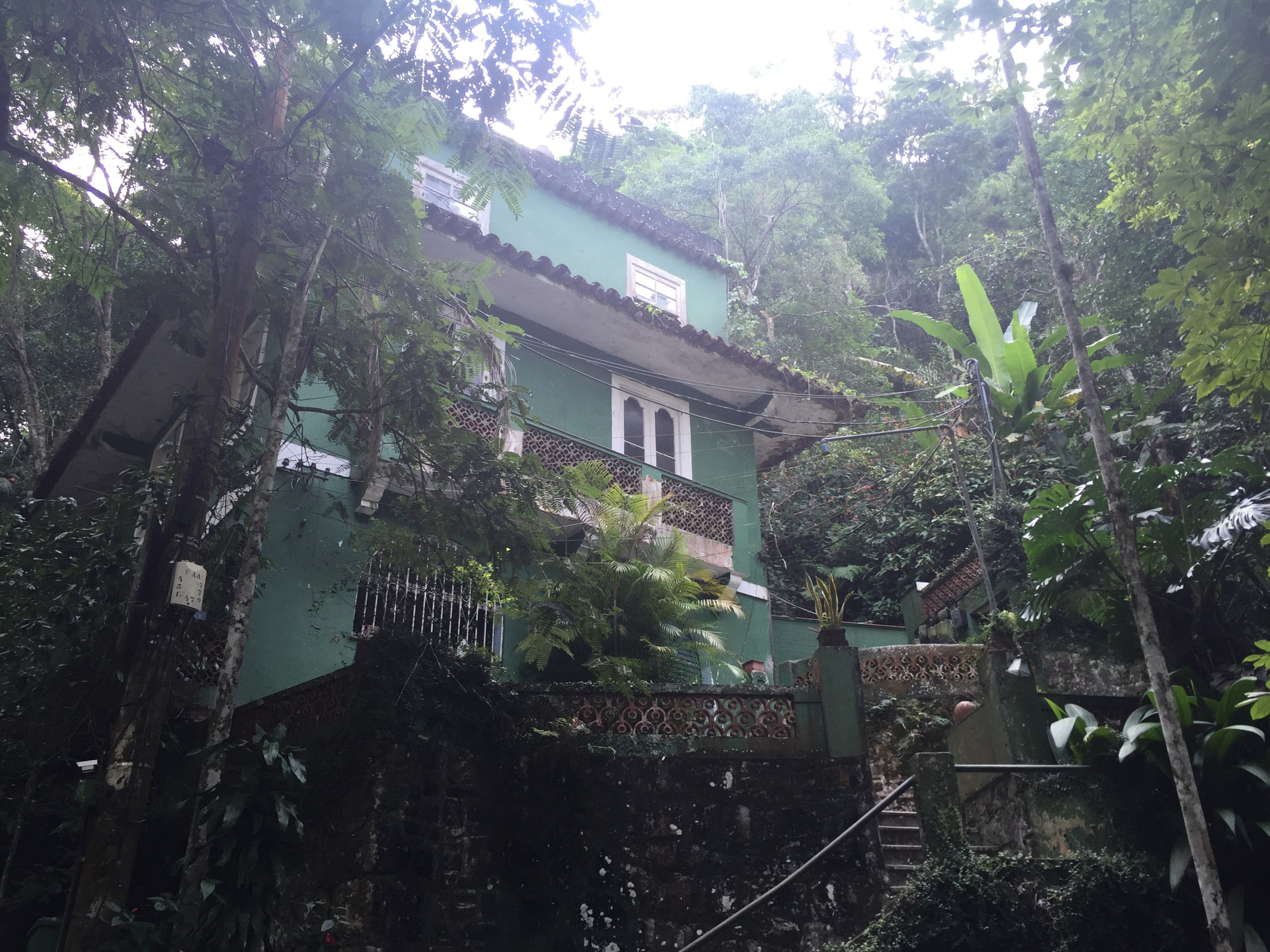 Tijuca Forest