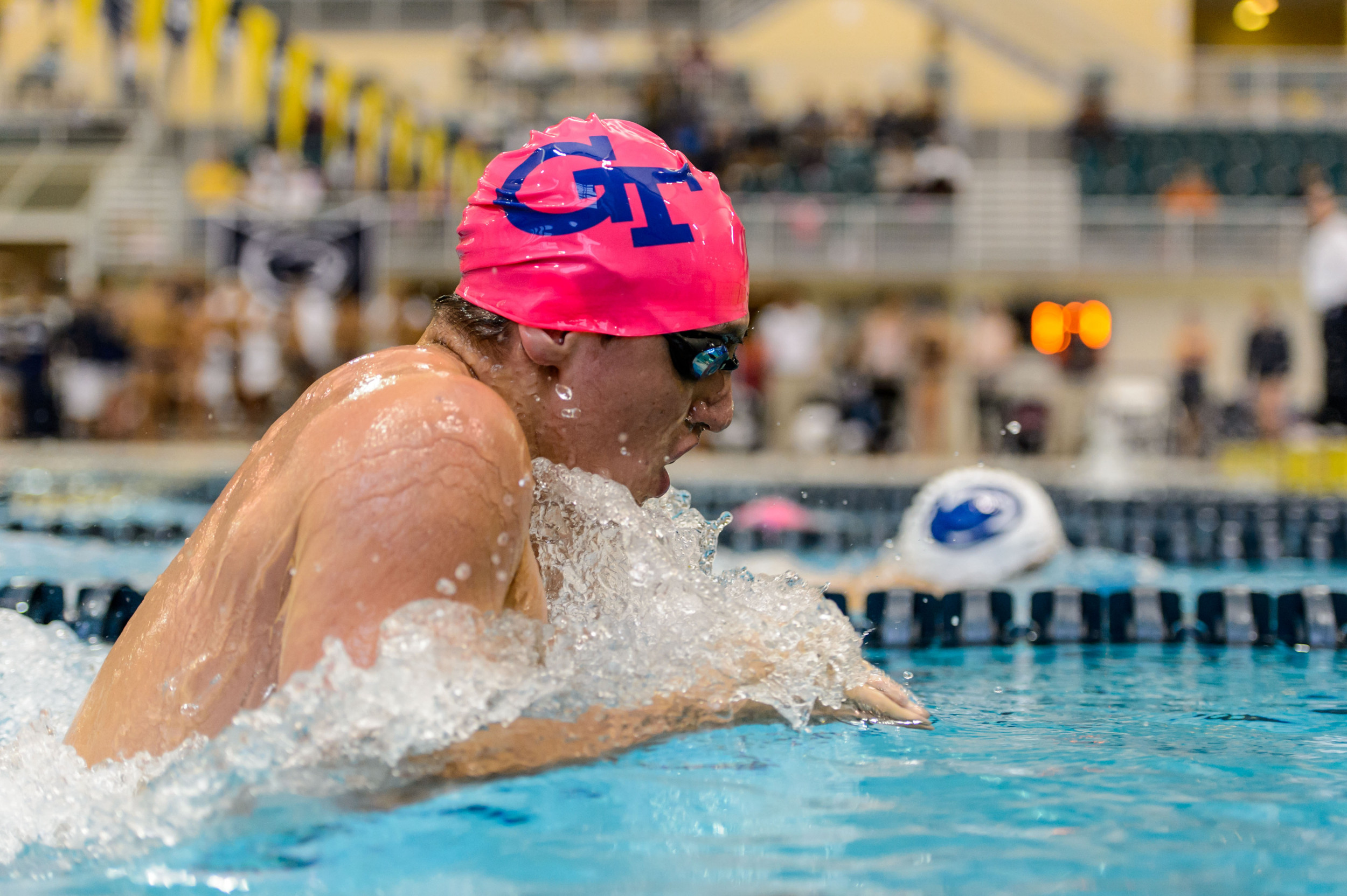 Georgia Tech Swimming and Diving