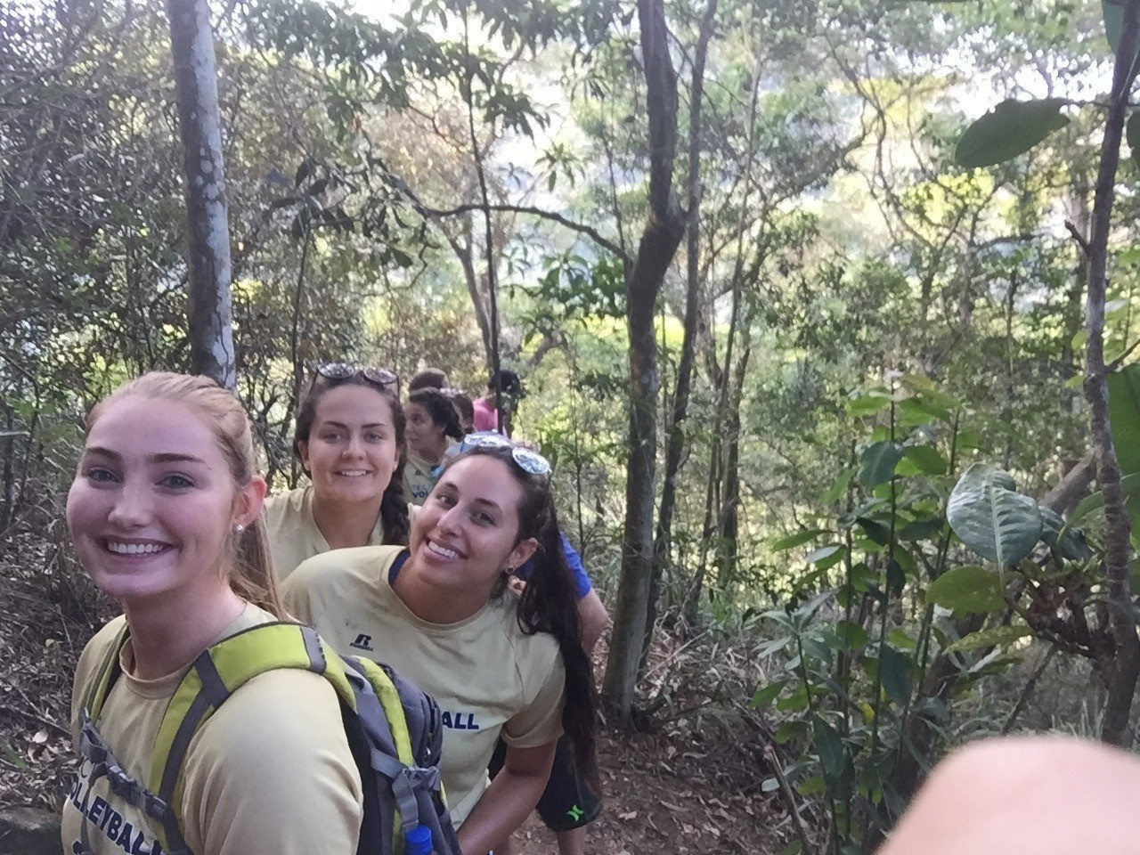 Tijuca Forest