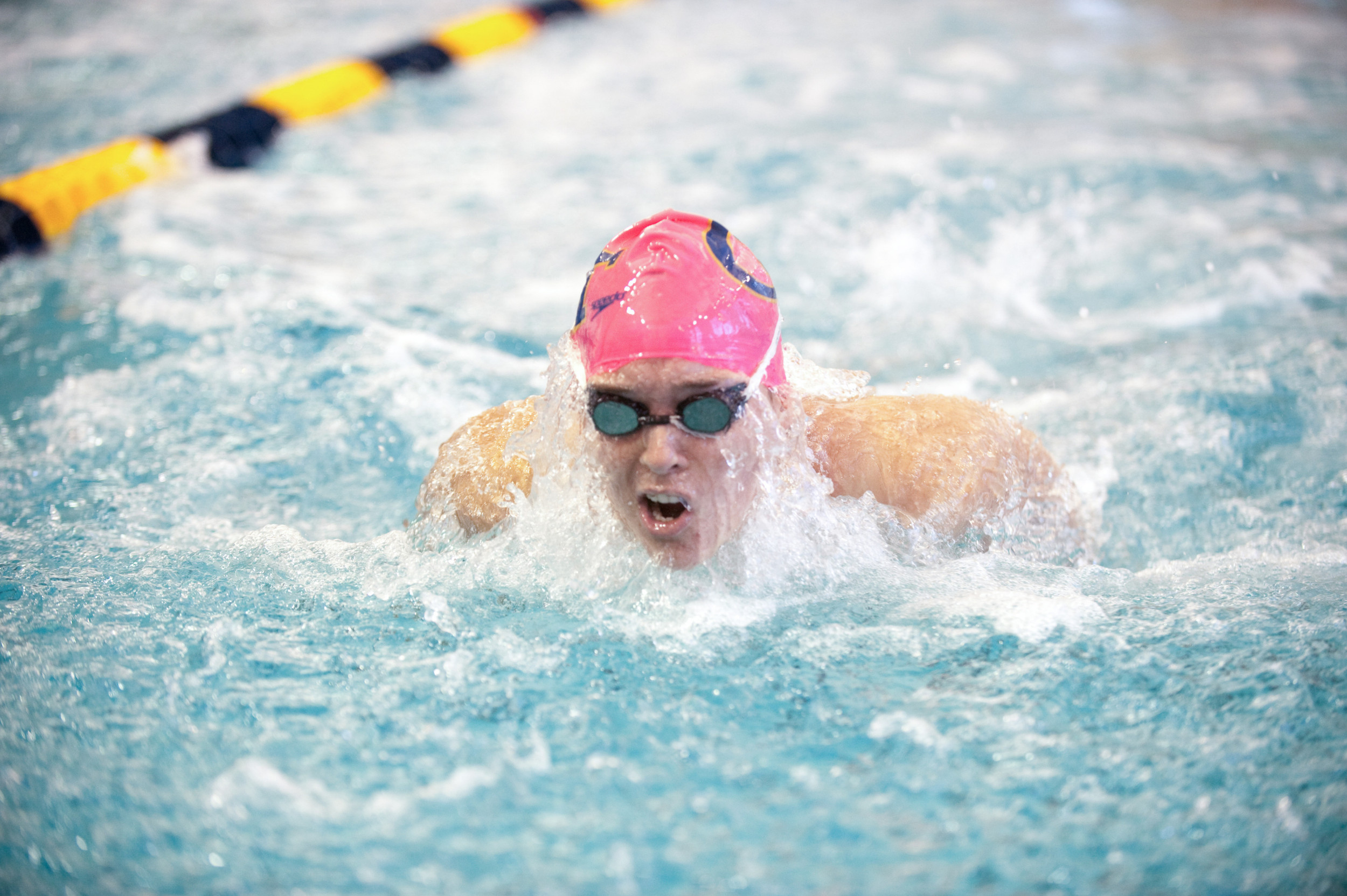 Women's 2010-2011 Swimming and Diving