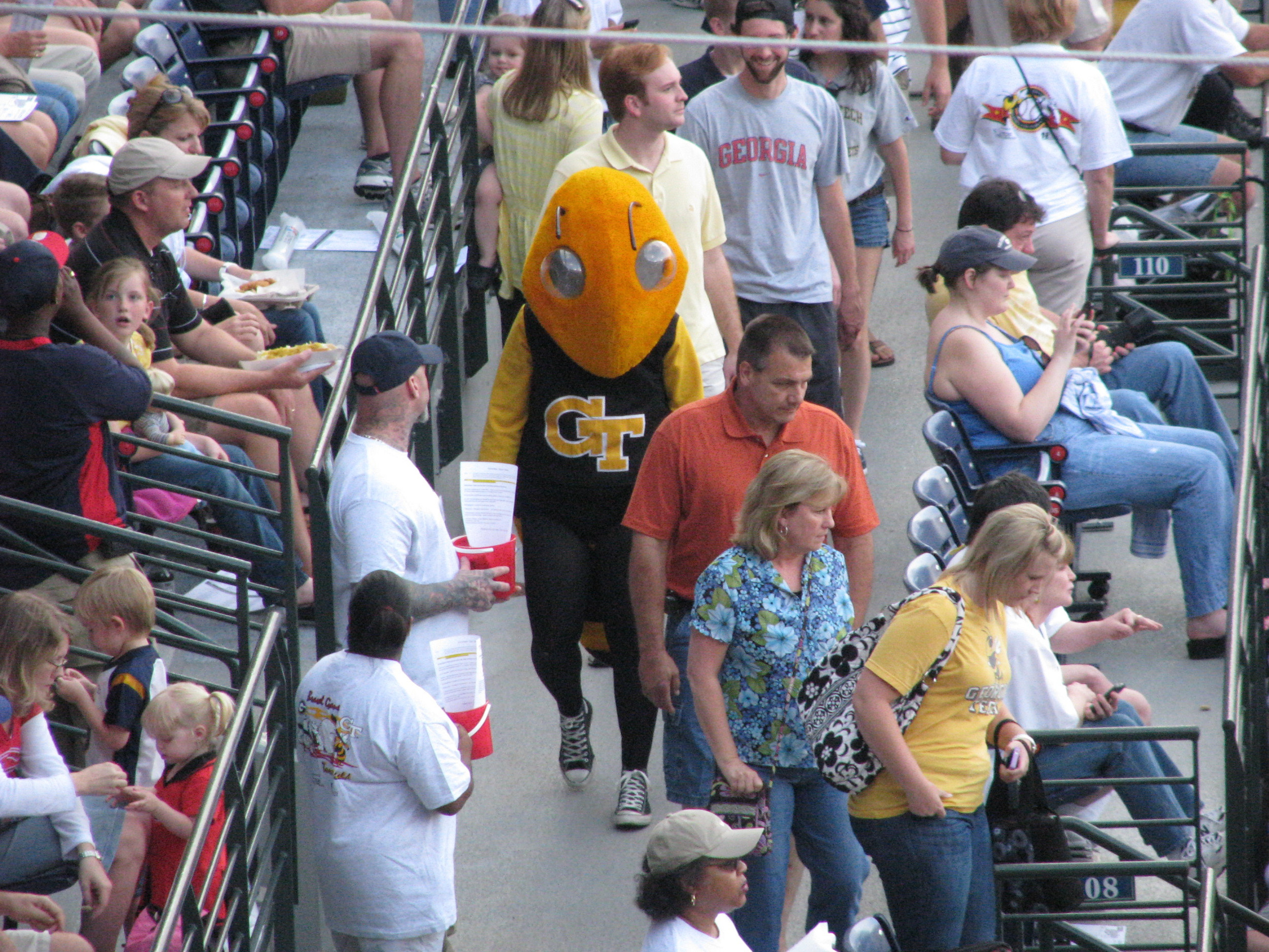 Buzz in the stands
