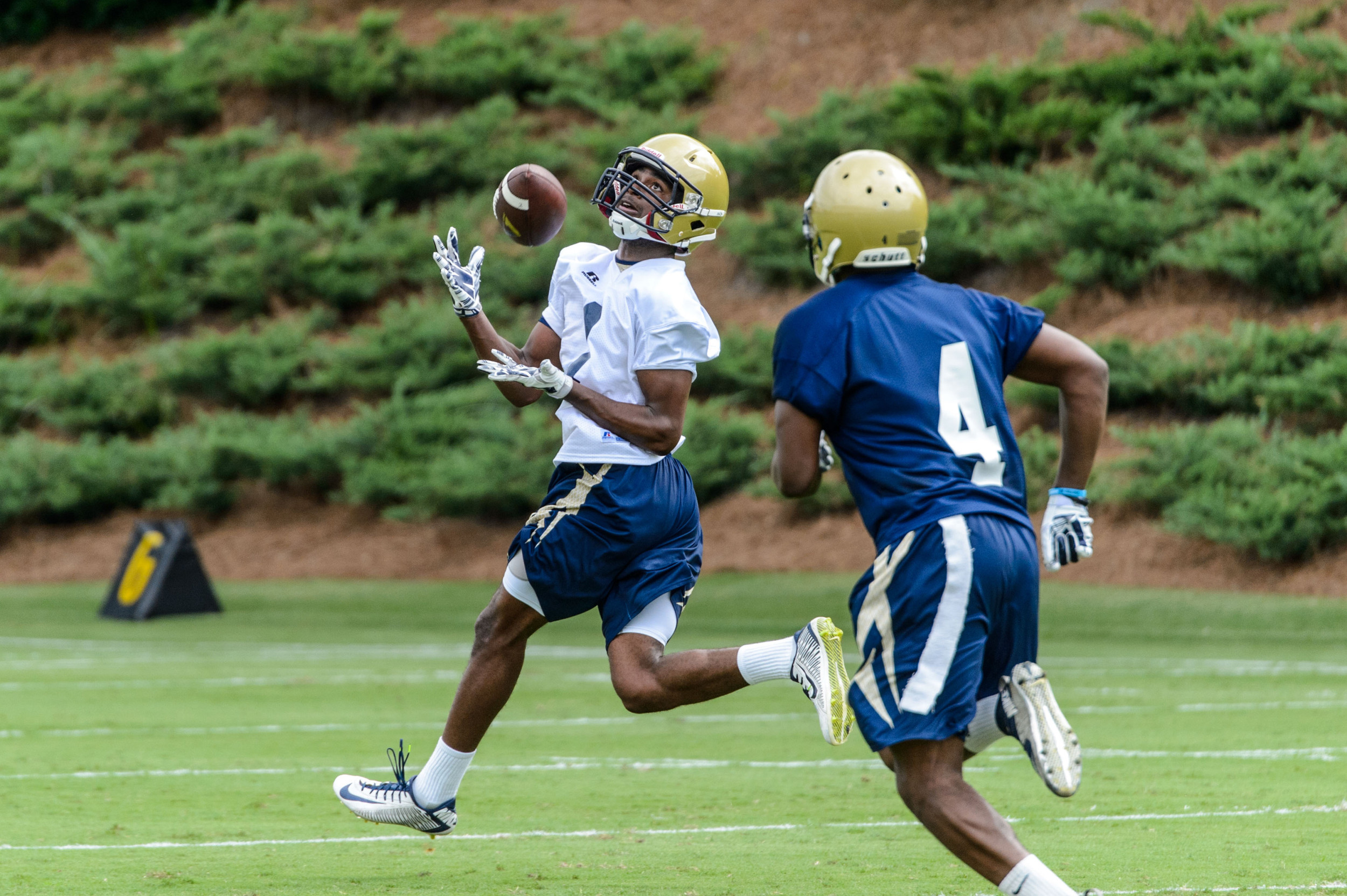 Qua Searcy (1)
