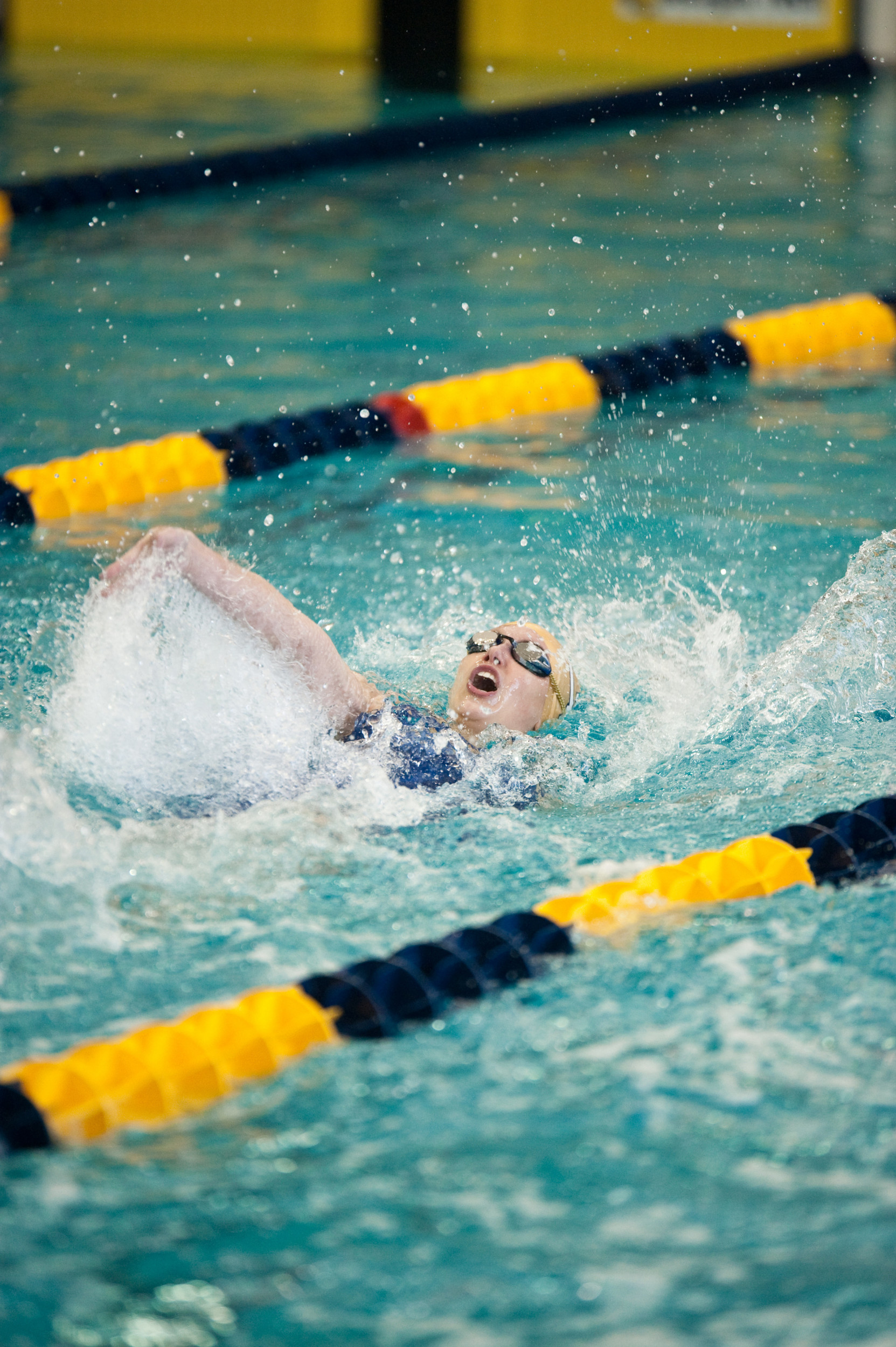 Women's 2010-2011 Swimming and Diving