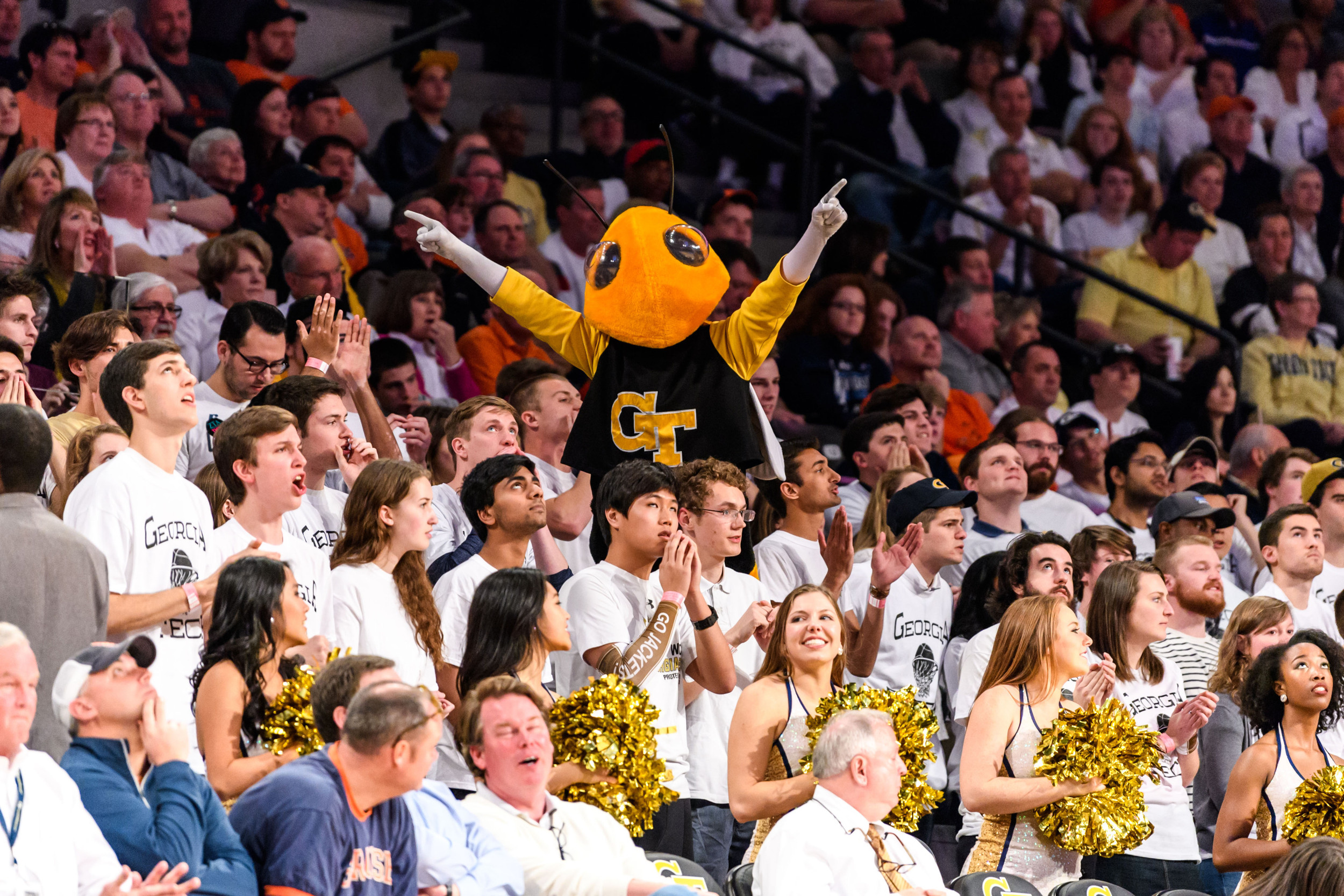 Buzz stands shoulders above the student section