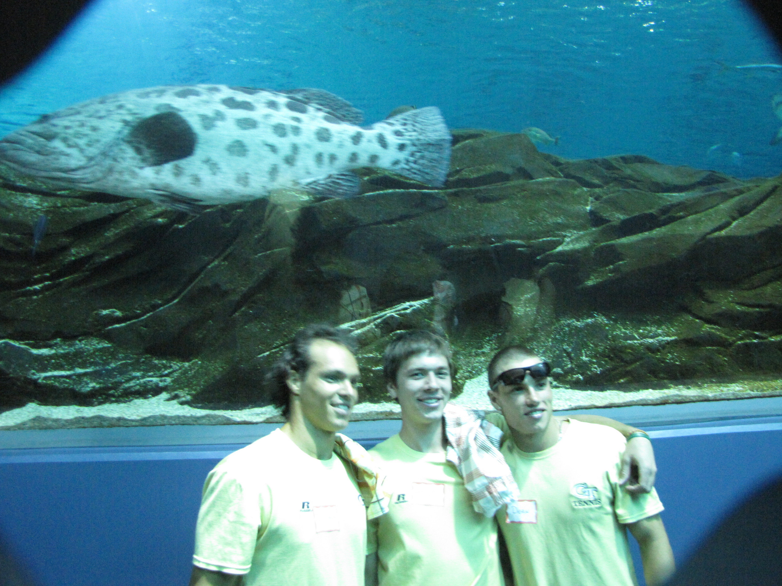 The Georgia Tech Men's Tennis team poses in front of a fish