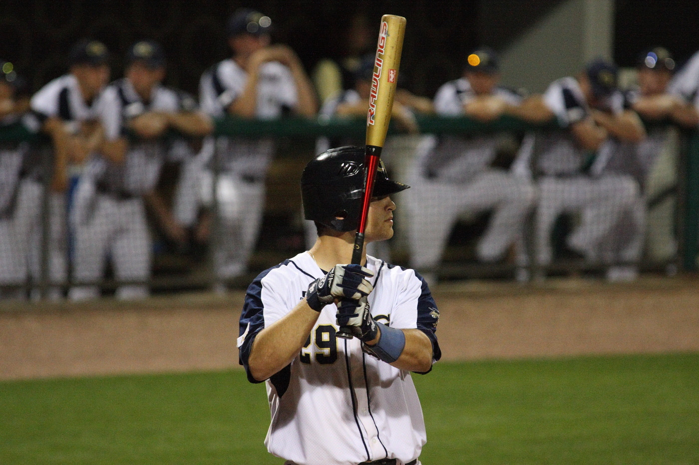 2008 Jason Haniger