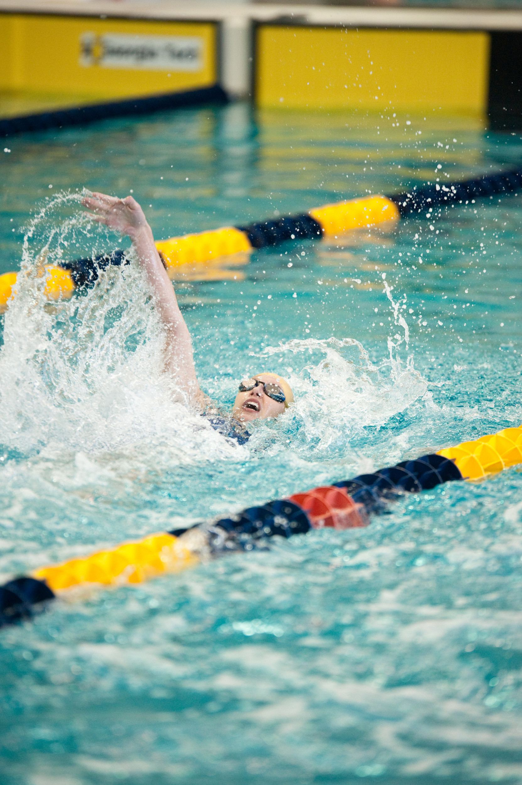 Women's 2010-2011 Swimming and Diving
