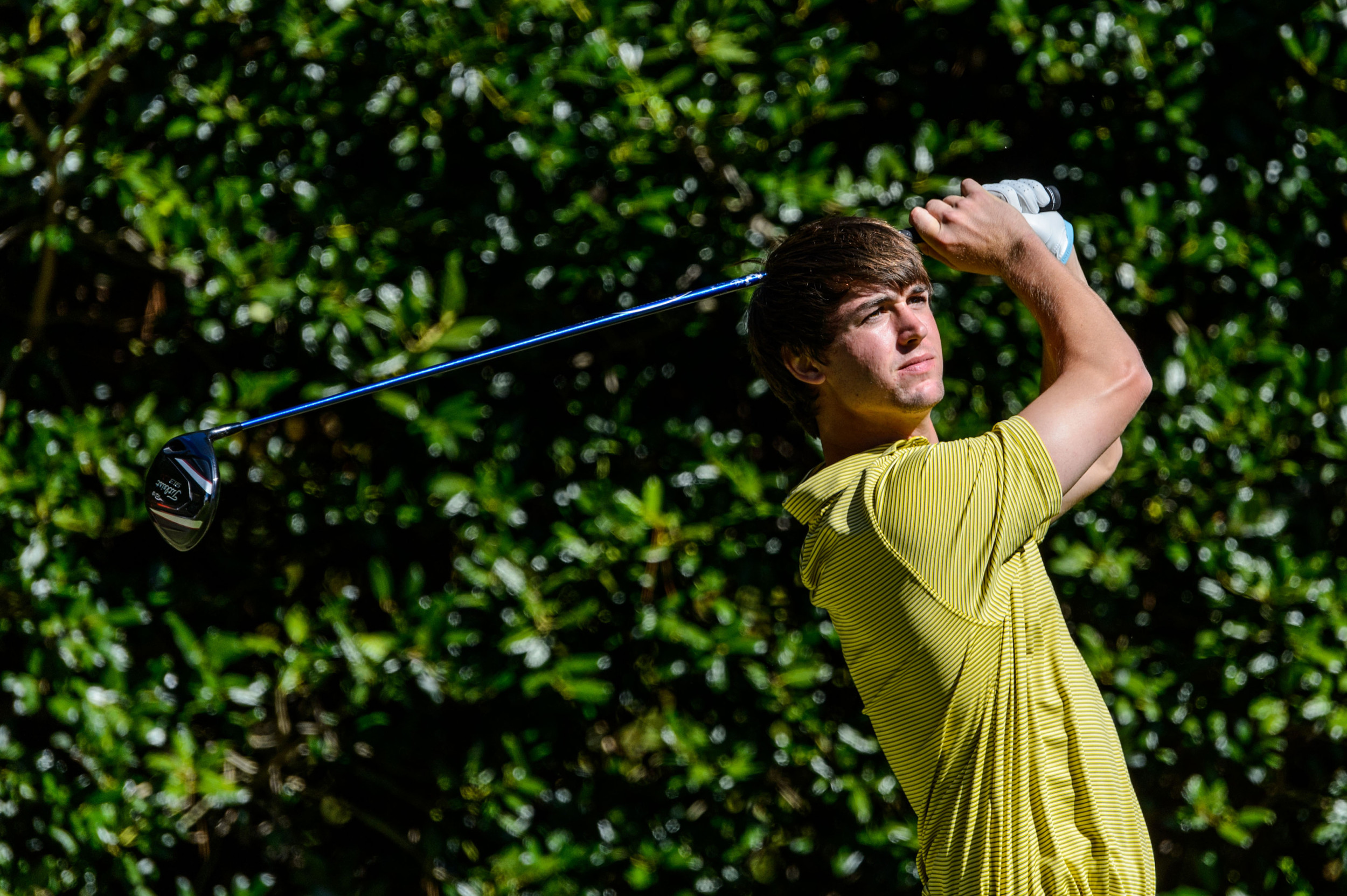 Ollie Schniederjans